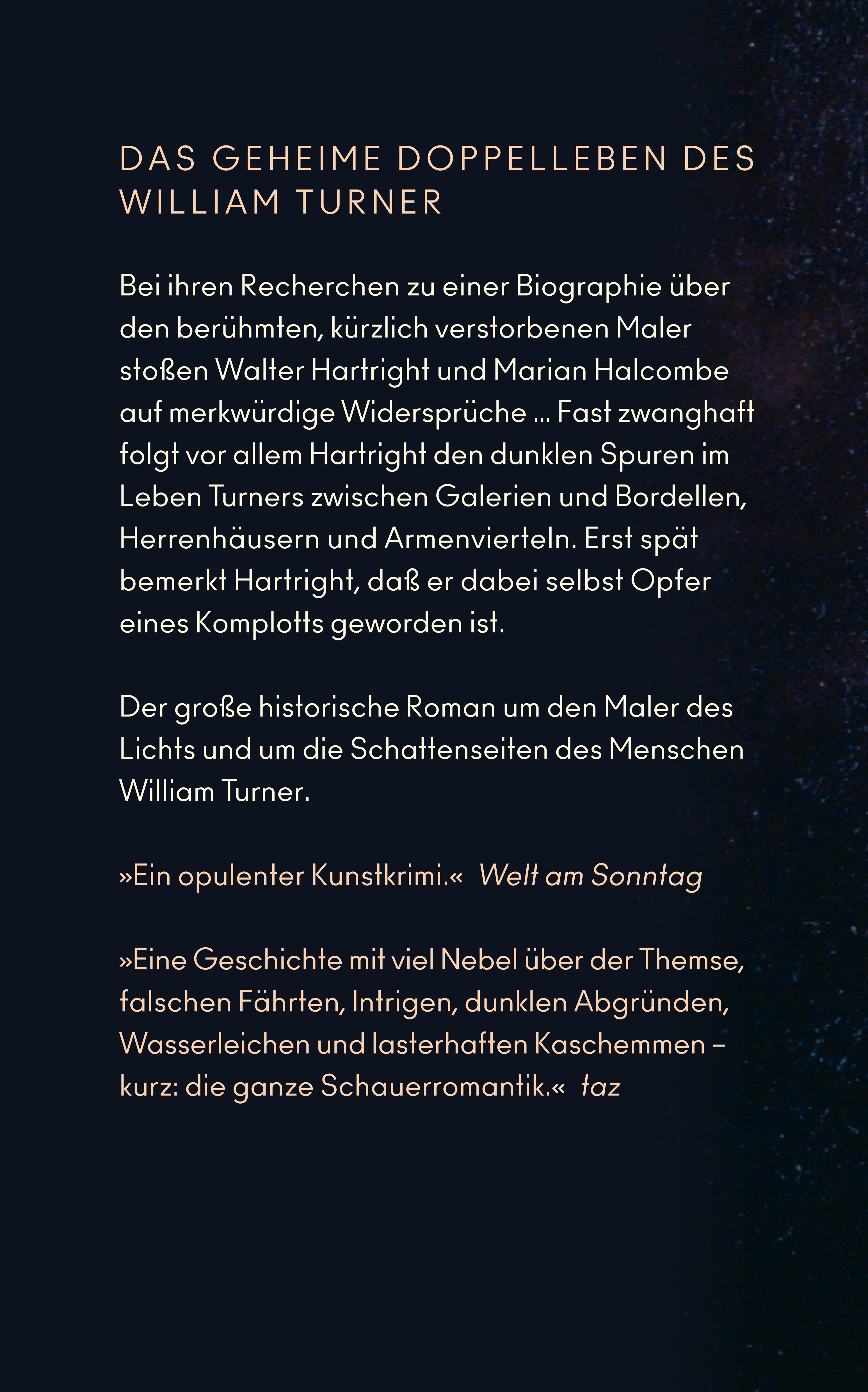 Rückseitencover Der Schatten des Malers