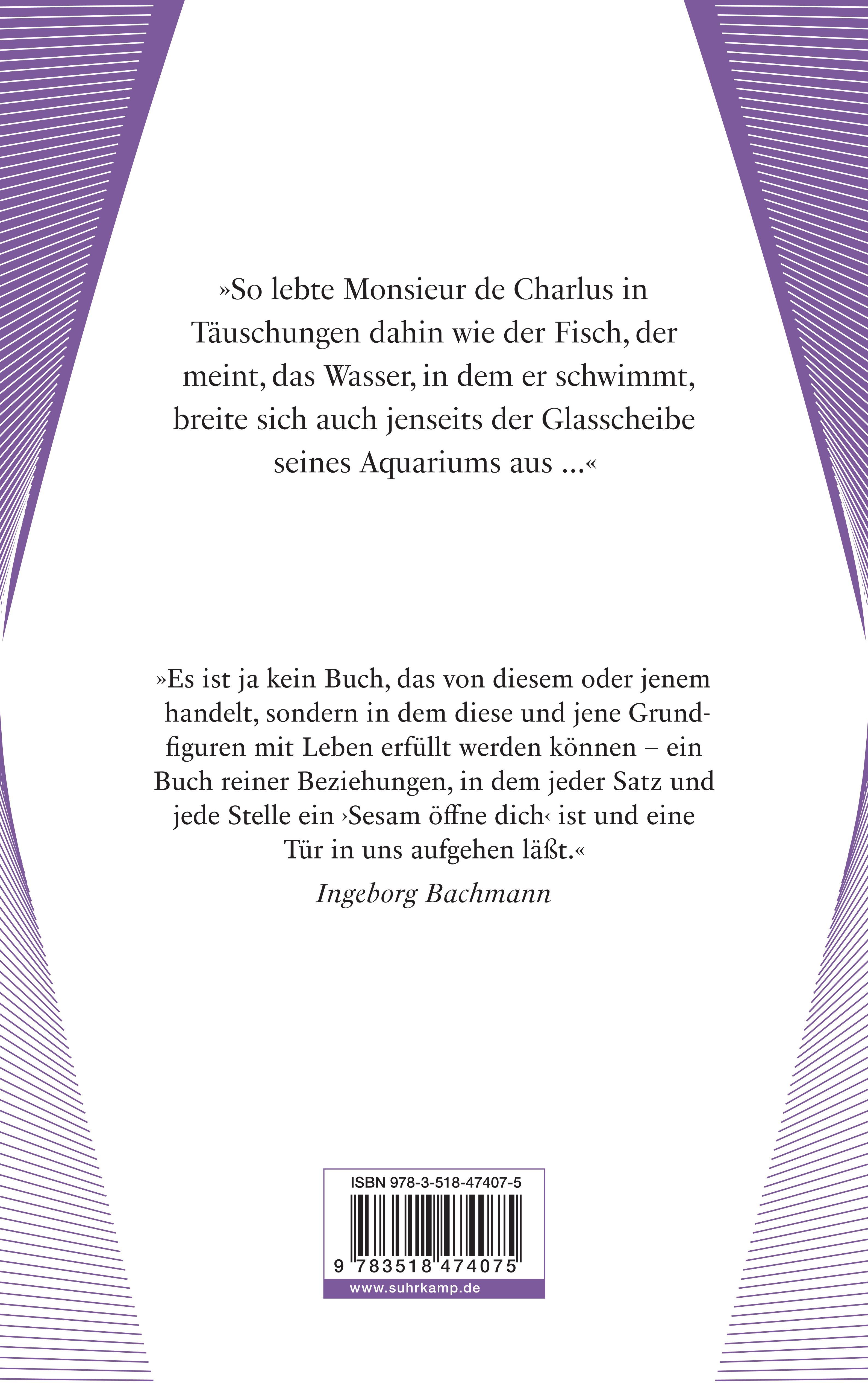 Rückseitencover Werke. Frankfurter Ausgabe Werke II. Band 4