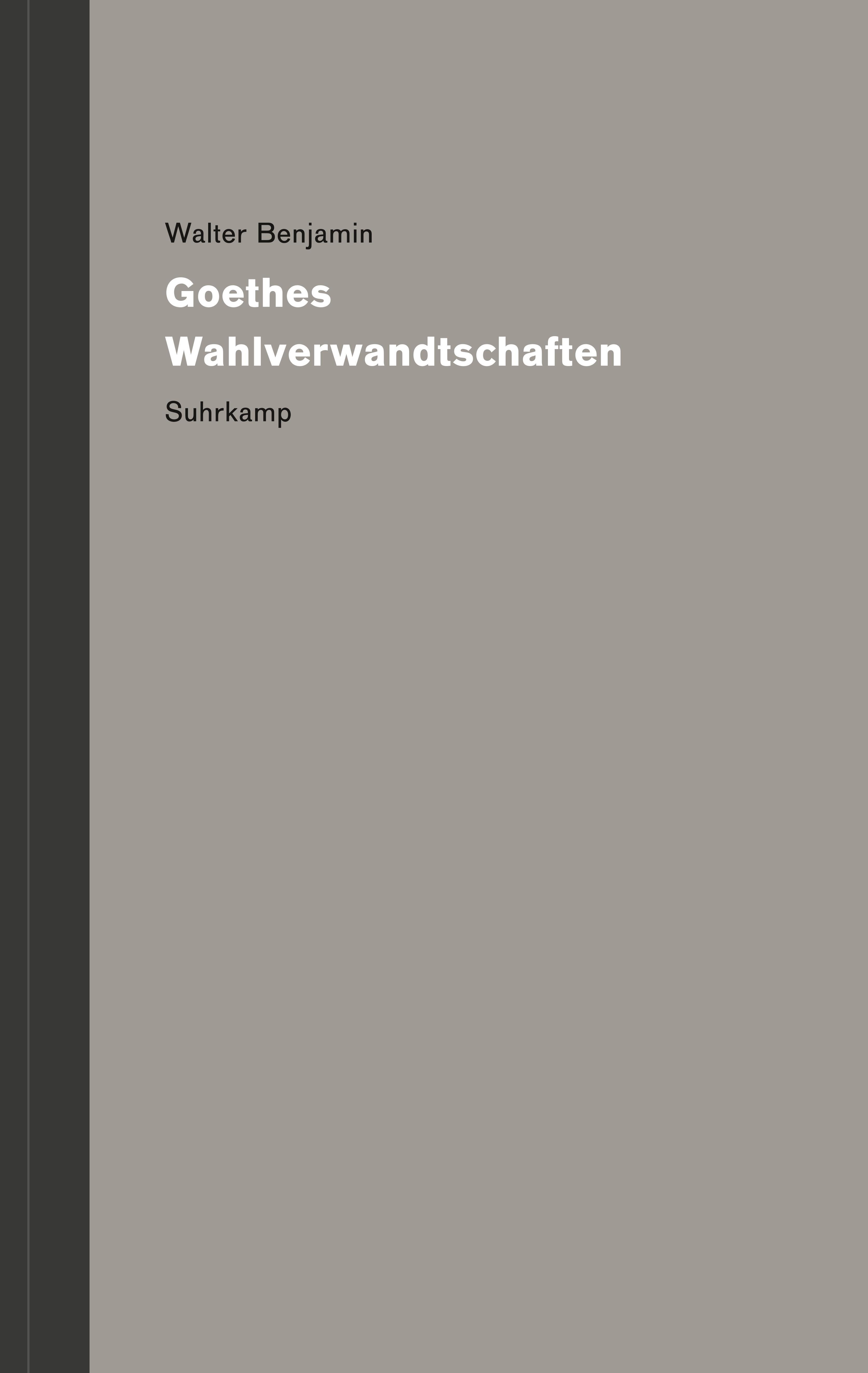 Vorderes Coverbild Werke und Nachlaß. Kritische Gesamtausgabe Band 4