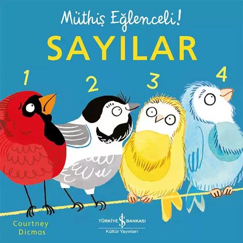 Vorderes Coverbild Sayilar - Müthis Eglenceli Ciltli