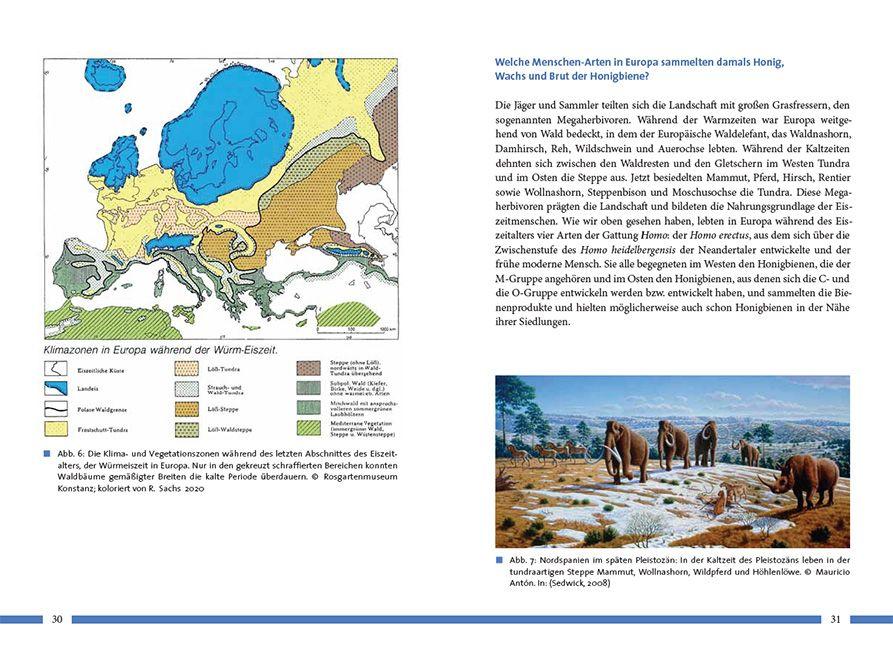 Beispielinhalt (Bild) Nachhaltig Imkern mit gesunden Honigbienen