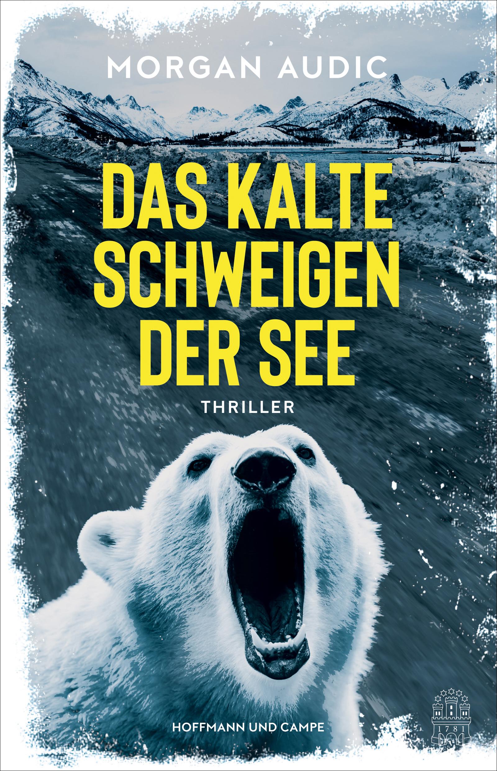 Vorderes Coverbild Das kalte Schweigen der See