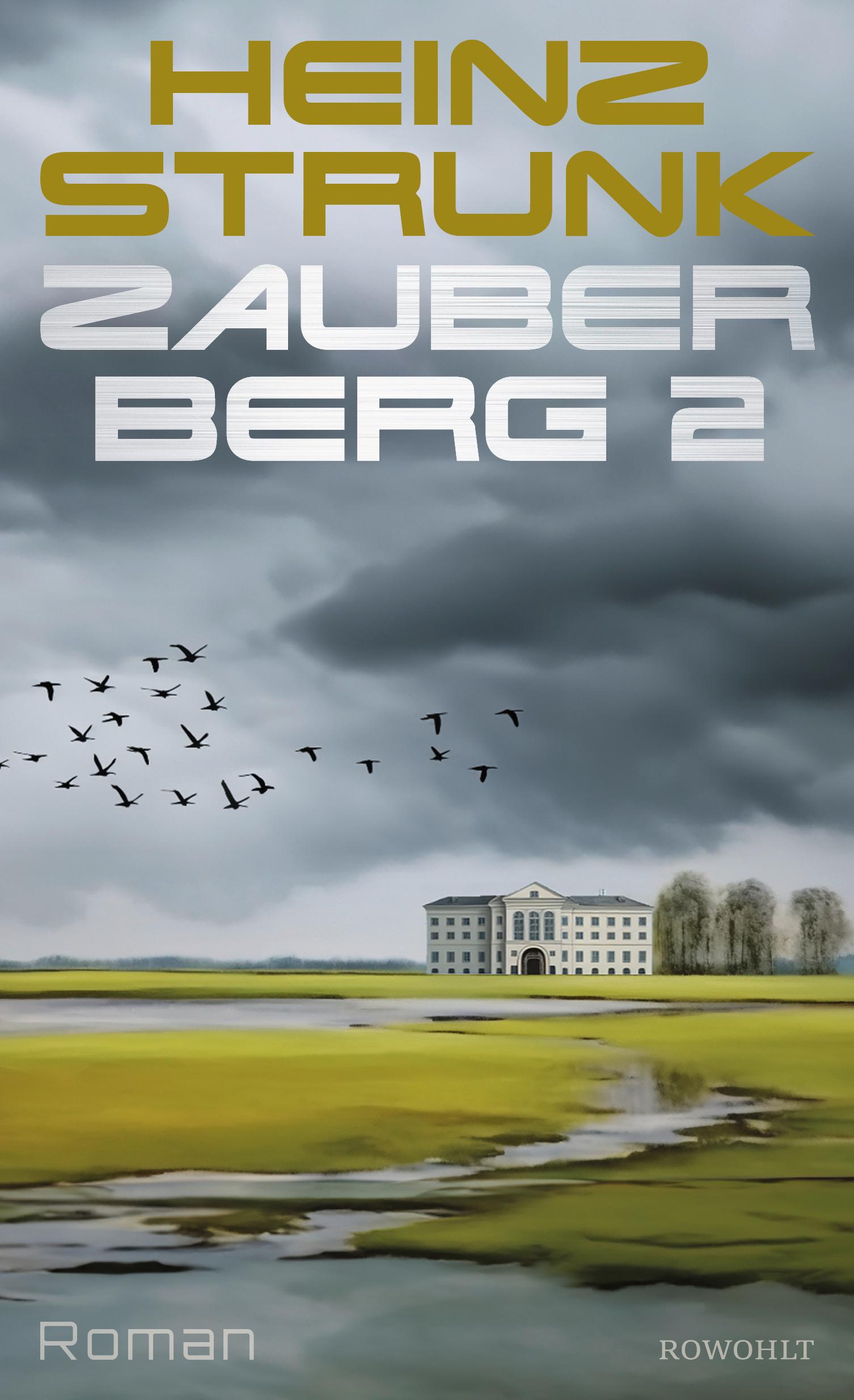 Vorderes Coverbild Zauberberg 2