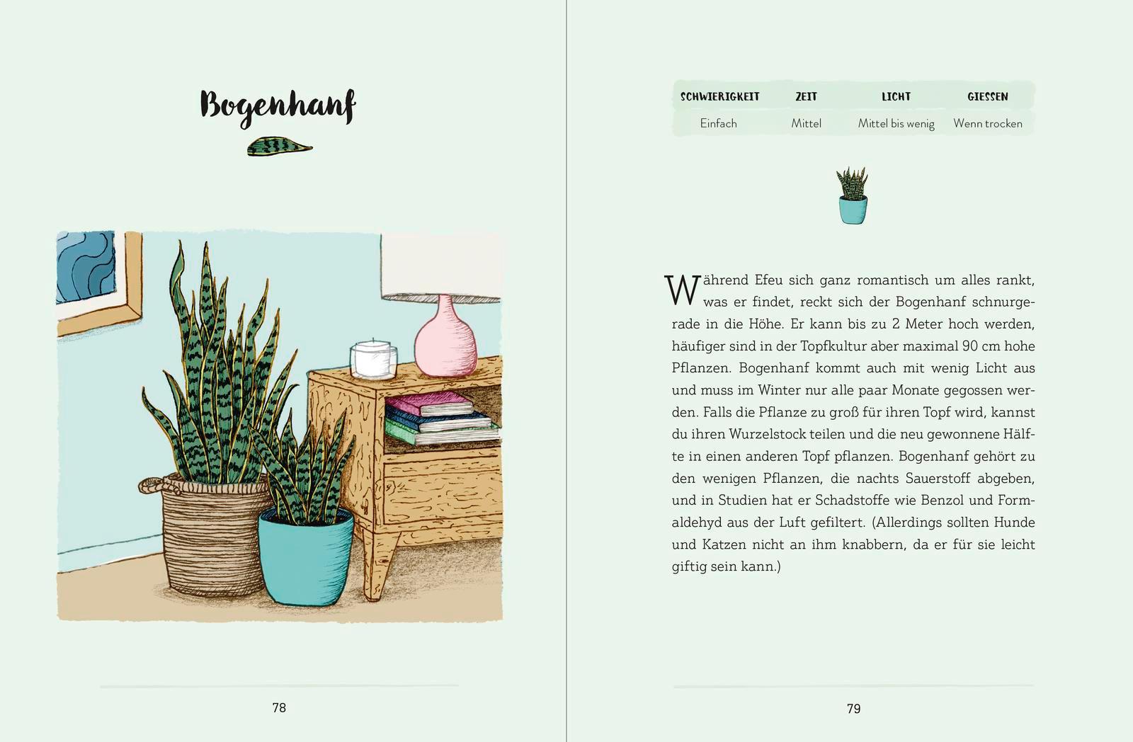 Beispielinhalt (Bild) Mein Garten auf der Fensterbank