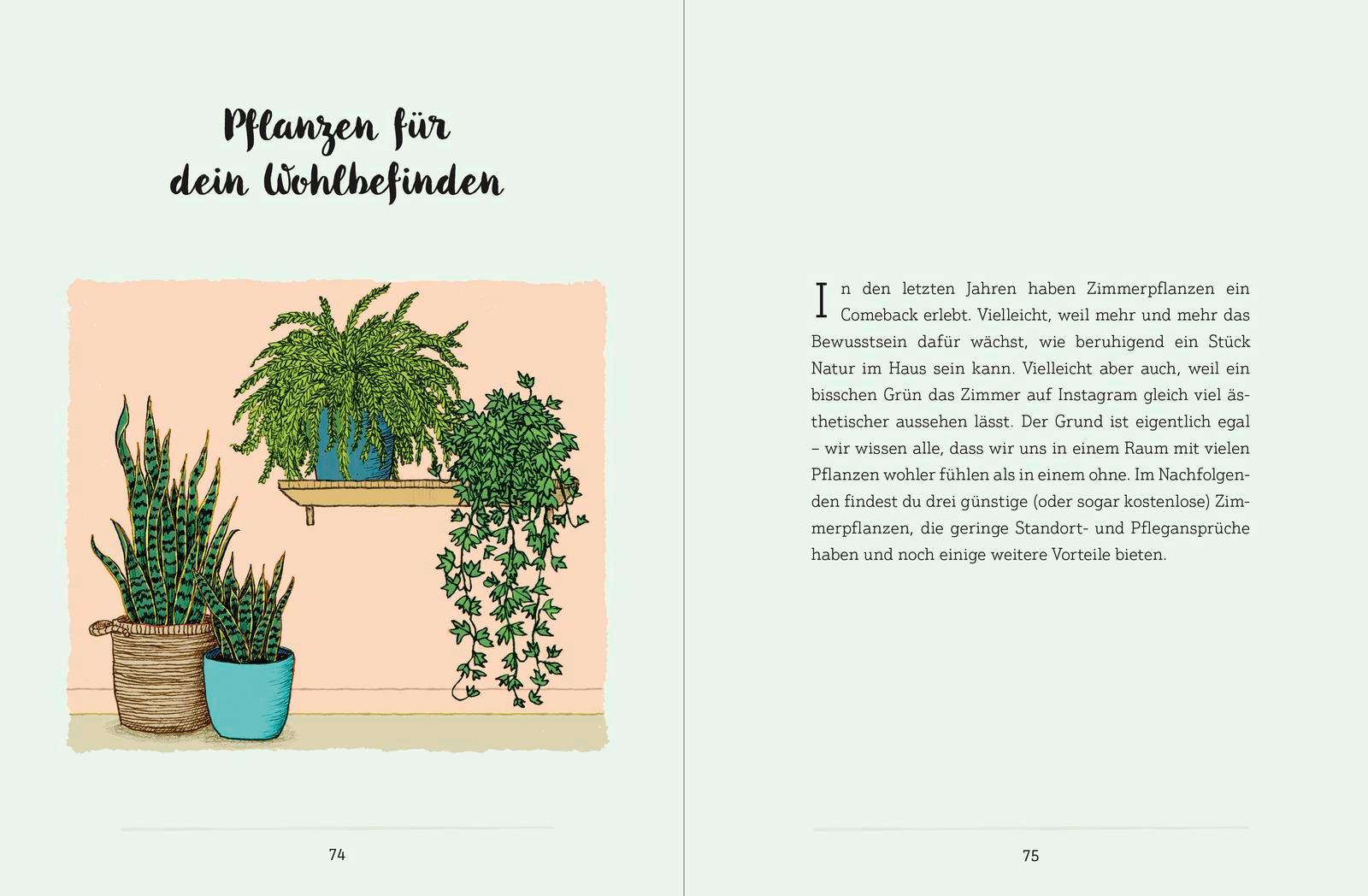 Beispielinhalt (Bild) Mein Garten auf der Fensterbank