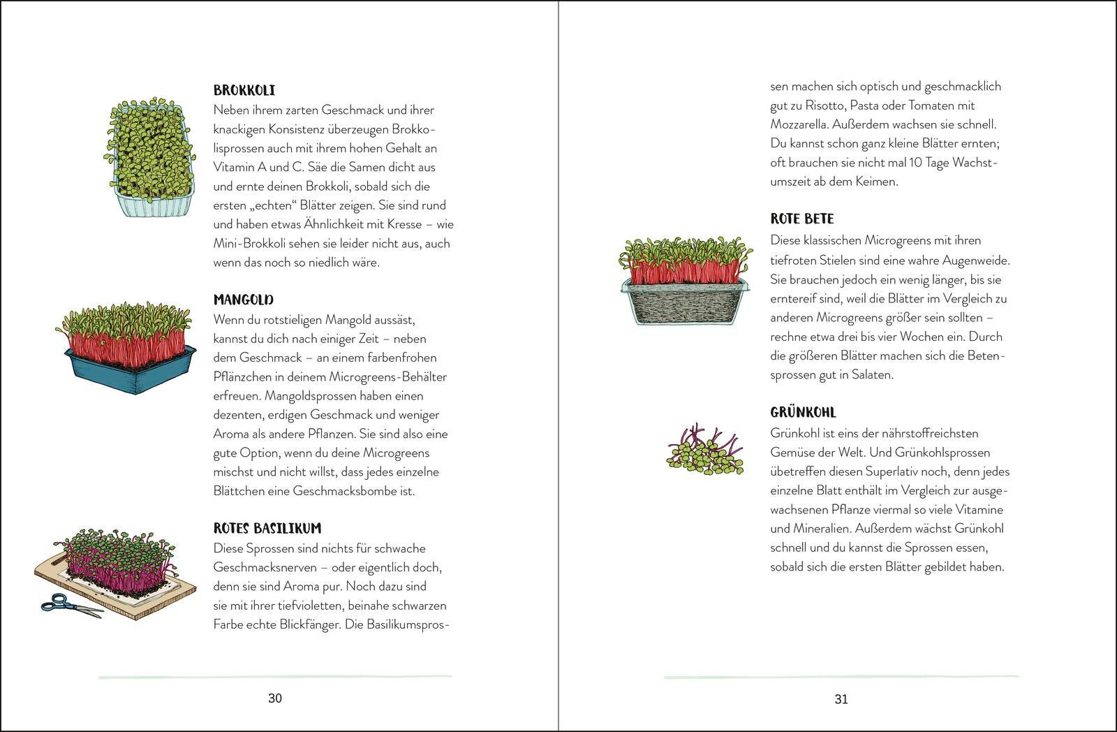 Beispielinhalt (Bild) Mein Garten auf der Fensterbank