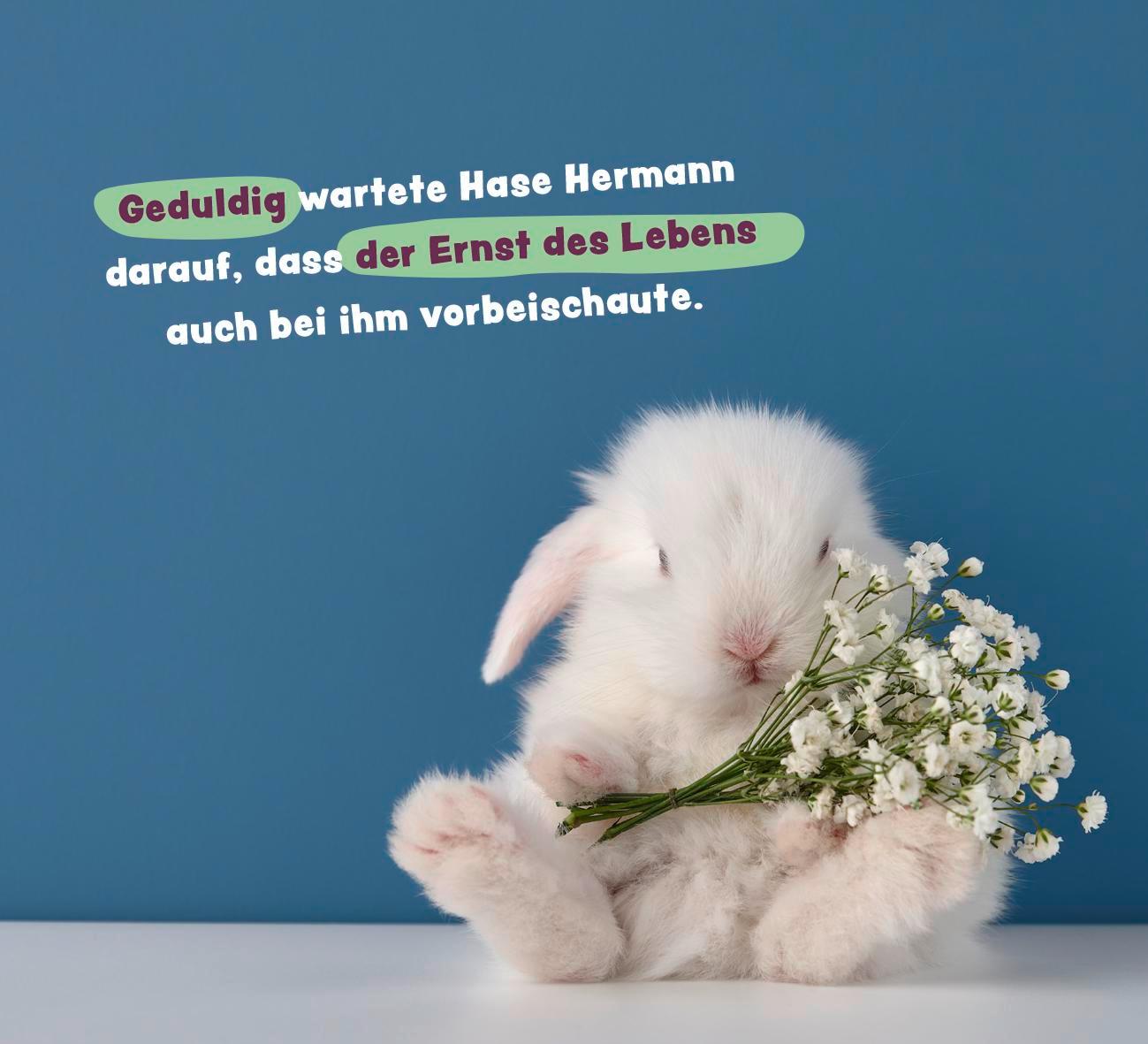 Beispielinhalt (Bild) Tierisch gechillt!