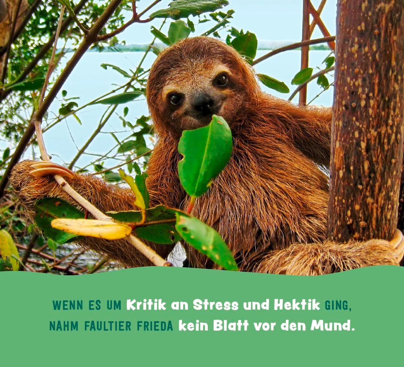 Beispielinhalt (Bild) Tierisch gechillt!