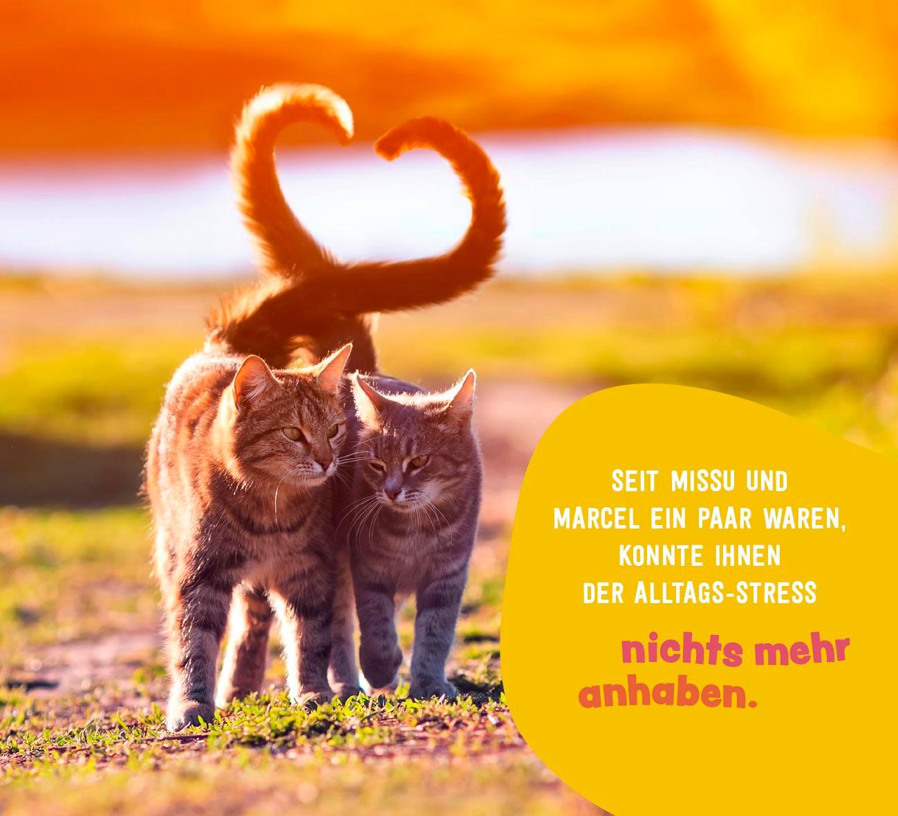 Beispielinhalt (Bild) Tierisch gechillt!