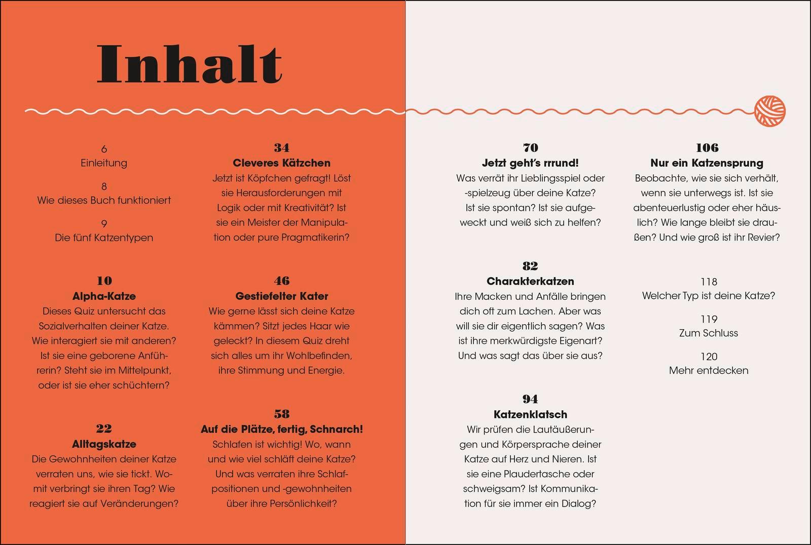 Beispielinhalt (Bild) Miau - Wie gut kennst du deine Katze?