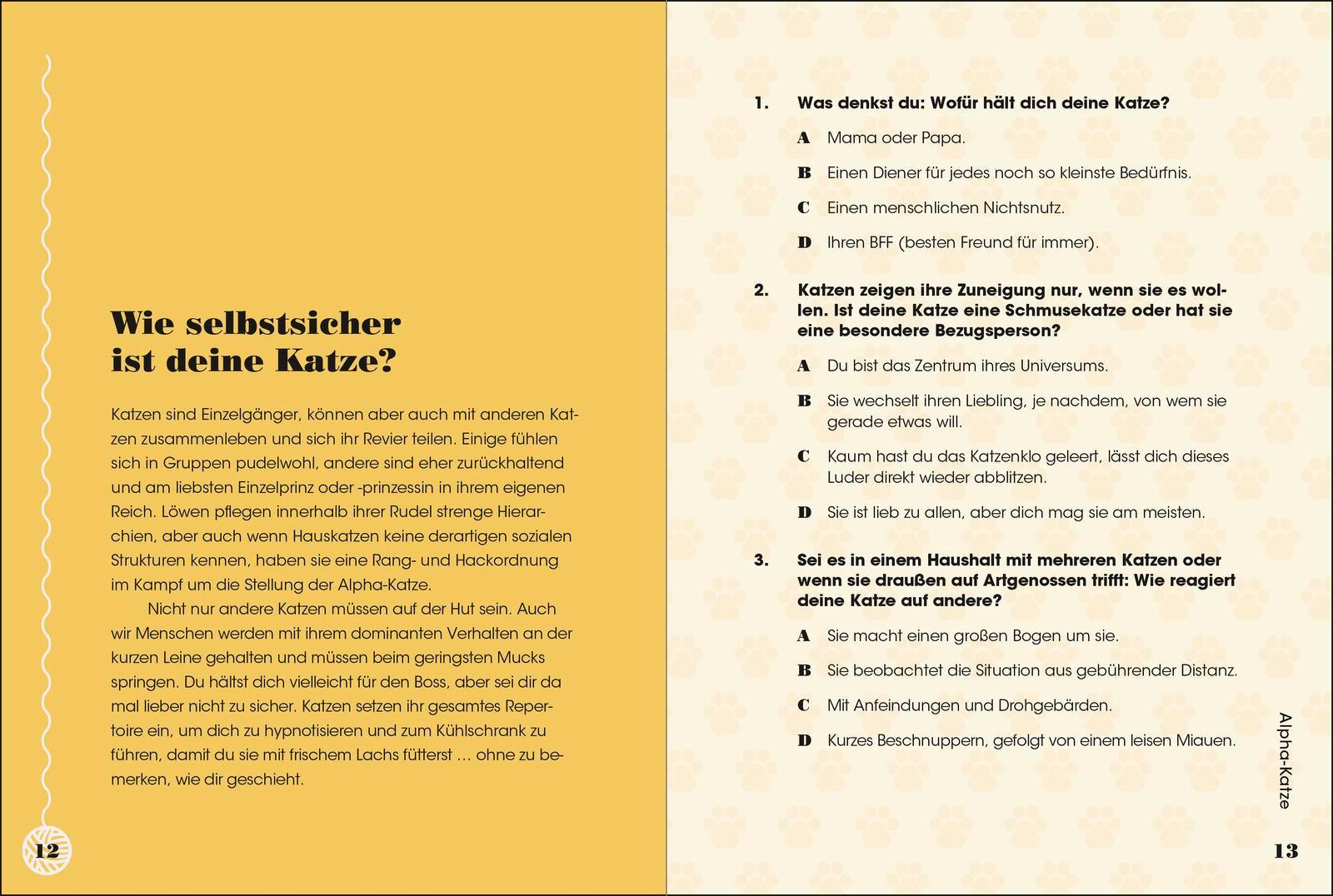 Beispielinhalt (Bild) Miau - Wie gut kennst du deine Katze?