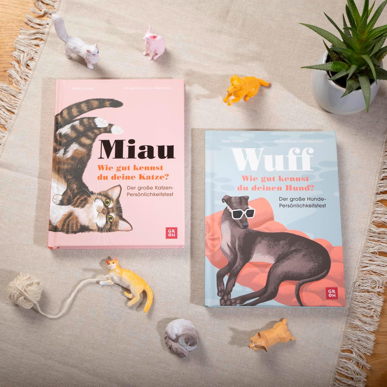 Beispielinhalt (Bild) Miau - Wie gut kennst du deine Katze?