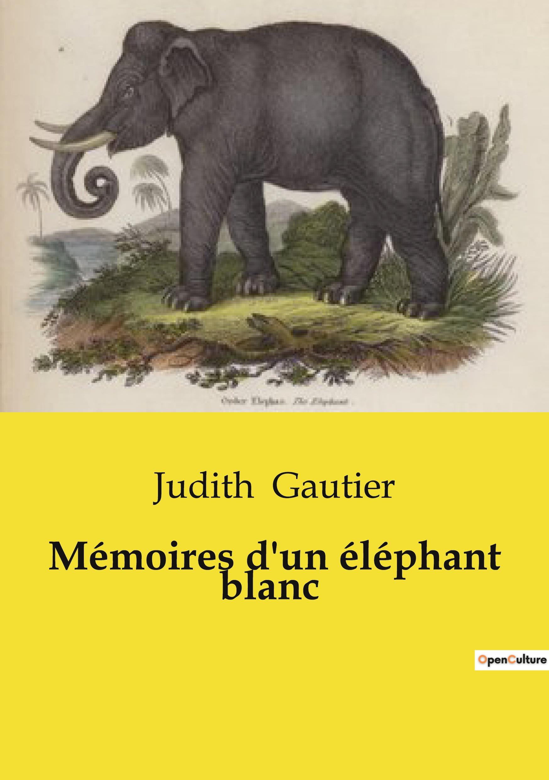Vorderes Coverbild Mémoires d'un éléphant blanc
