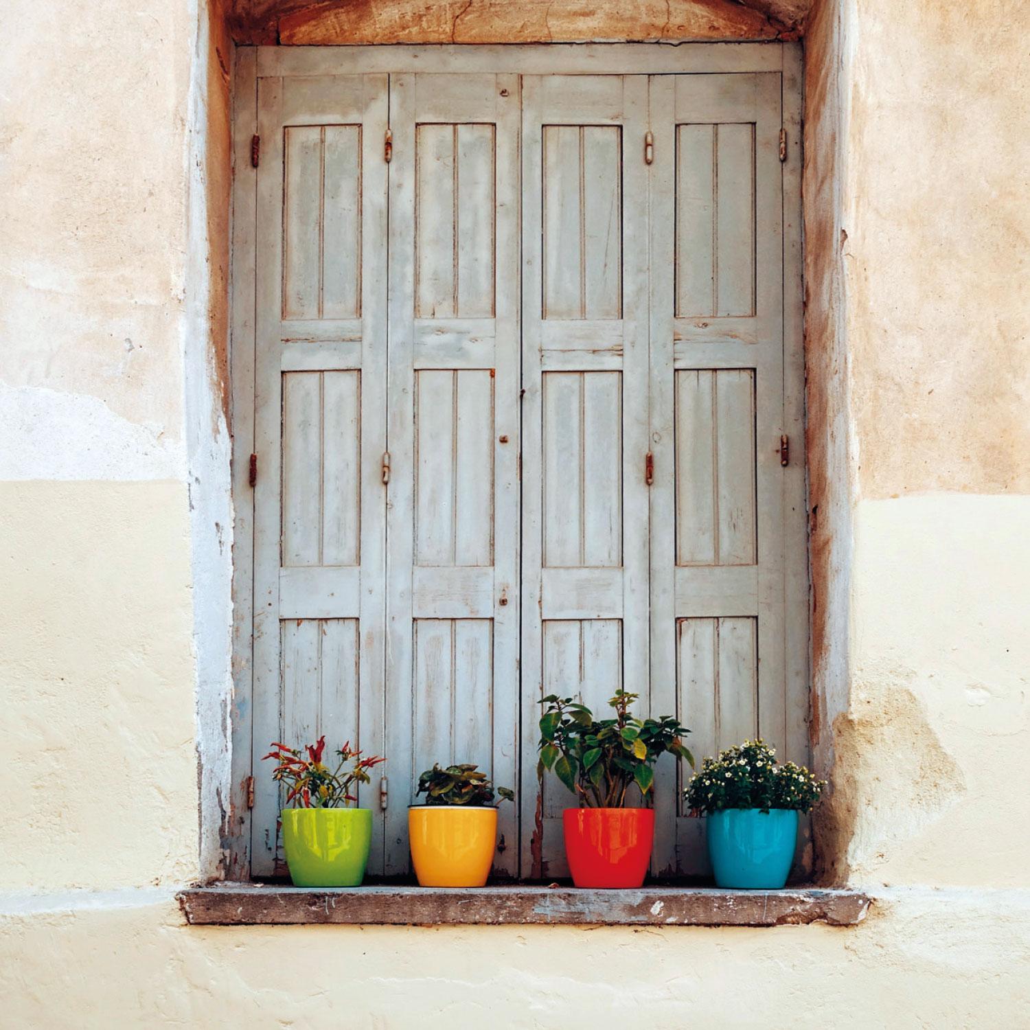 Beispielinhalt (Bild) Gute Laune Block Dschungel
