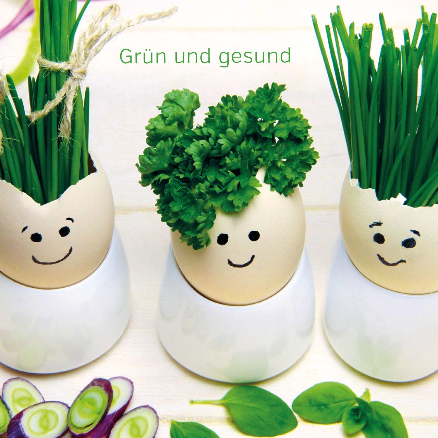 Beispielinhalt (Bild) Gute Laune Block Dschungel