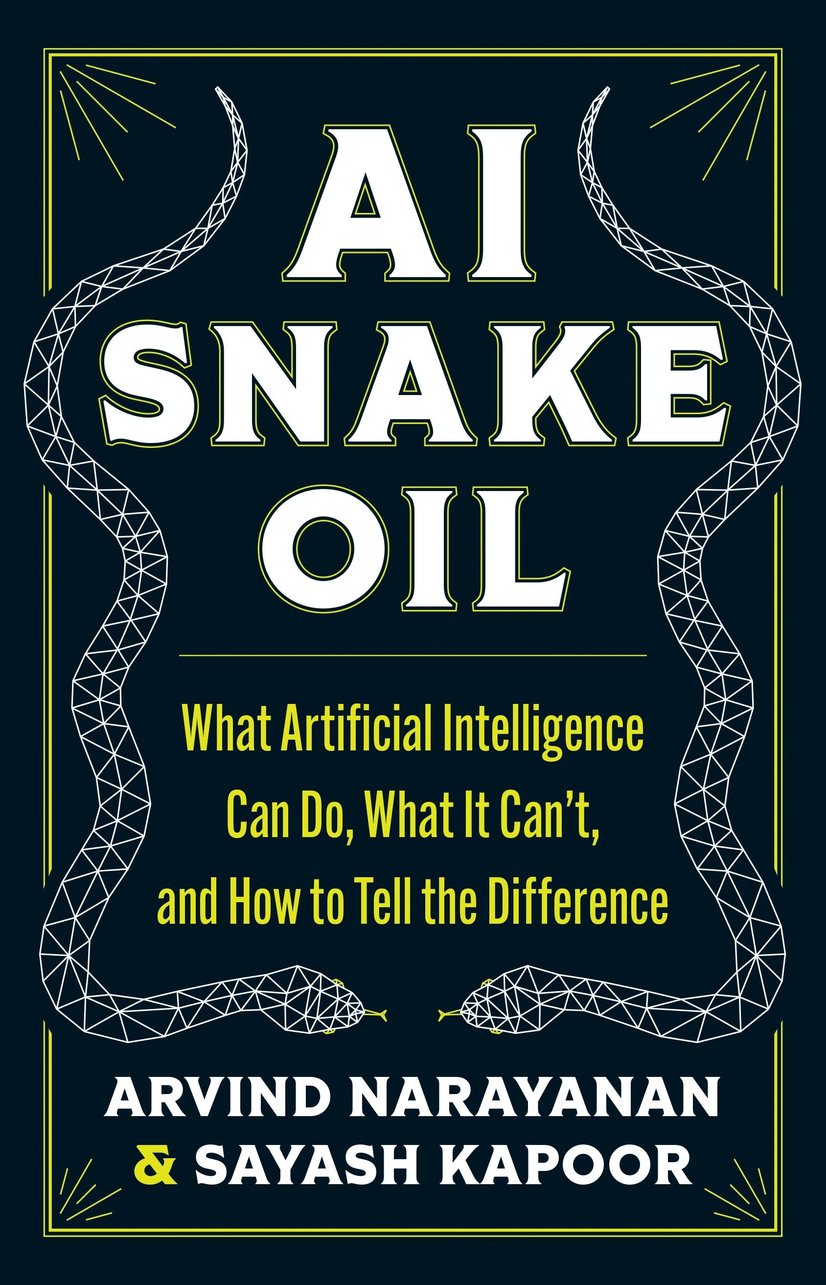 Vorderes Coverbild AI Snake Oil
