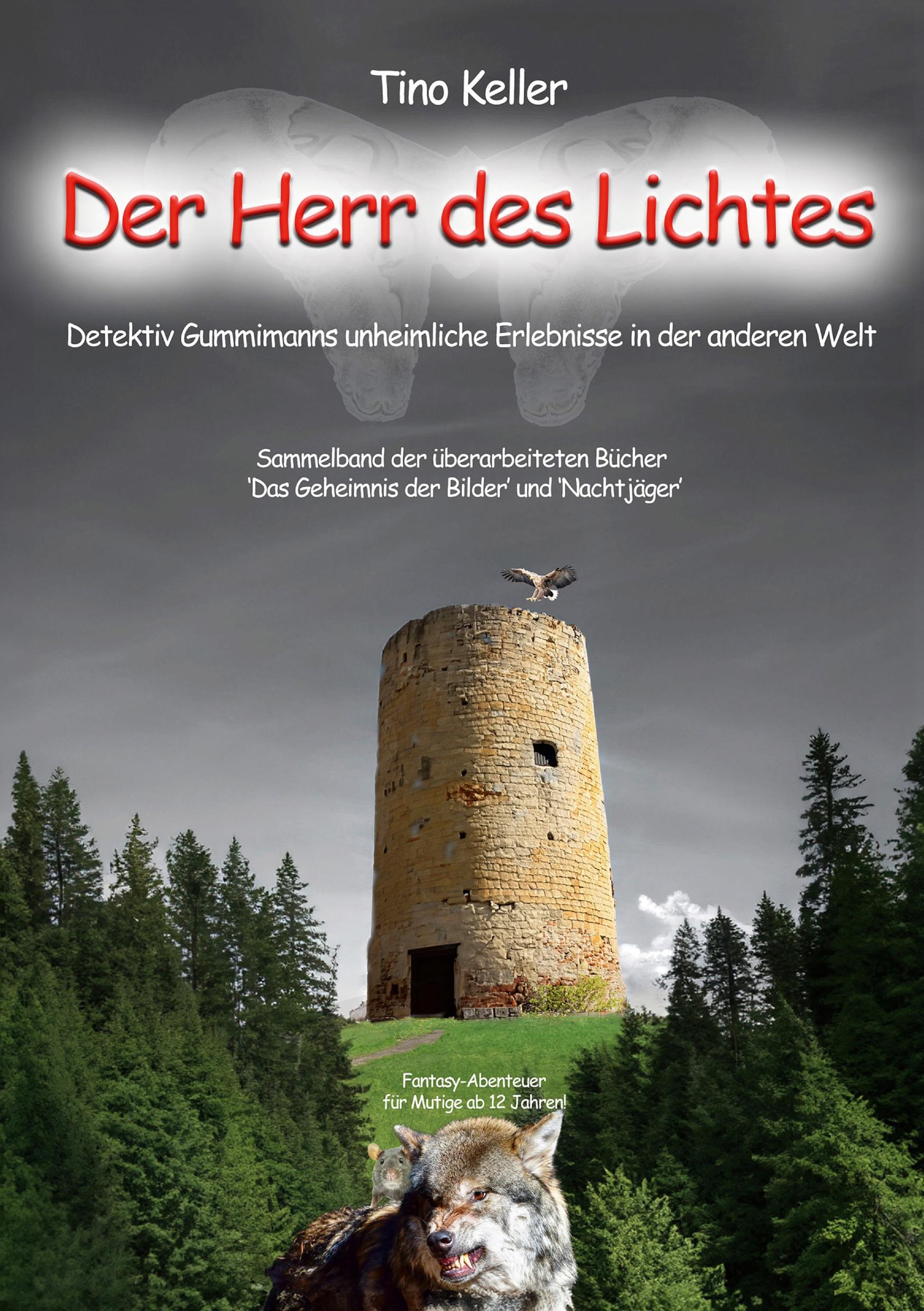 Vorderes Coverbild Der Herr des Lichtes