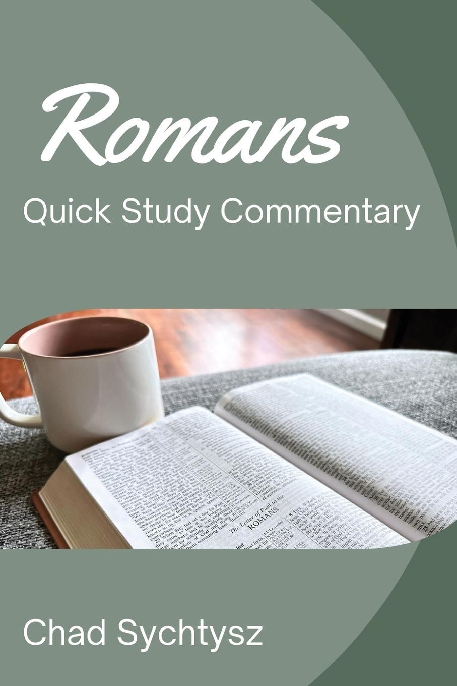 Vorderes Coverbild Romans QuickStudy Commentary