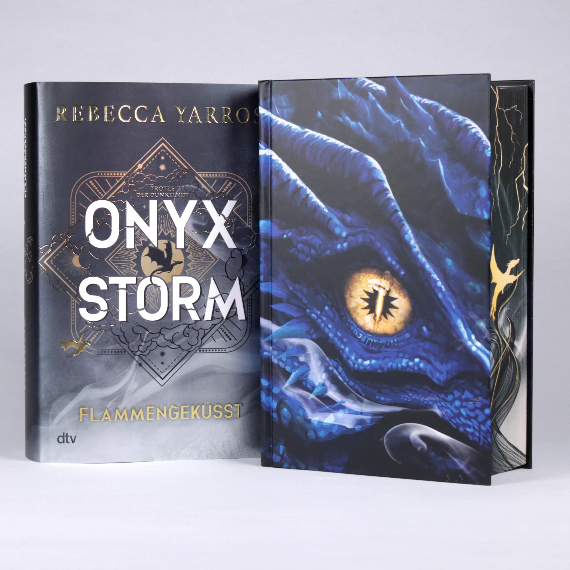 Beispielinhalt (Bild) Onyx Storm - Flammengeküsst