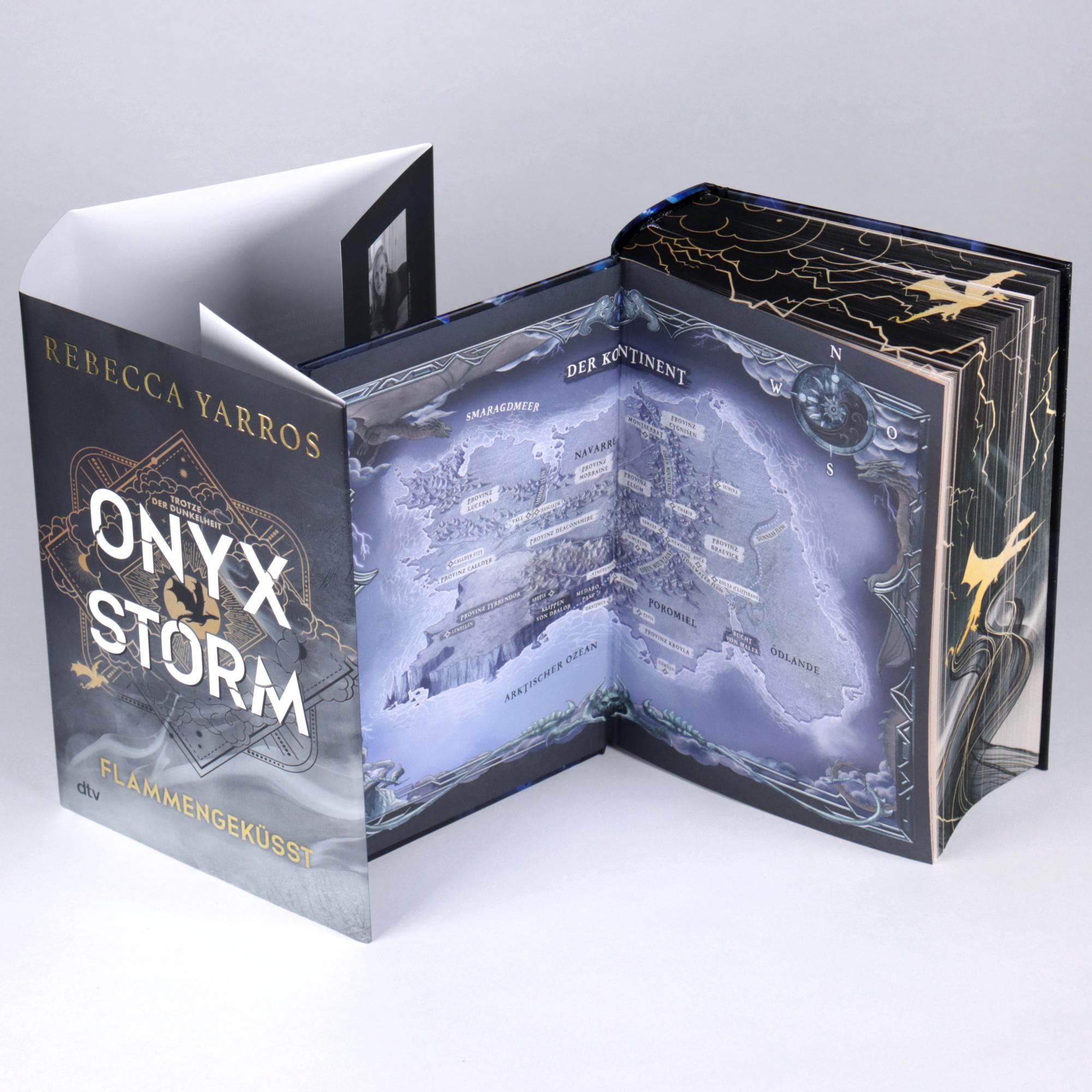 Beispielinhalt (Bild) Onyx Storm - Flammengeküsst