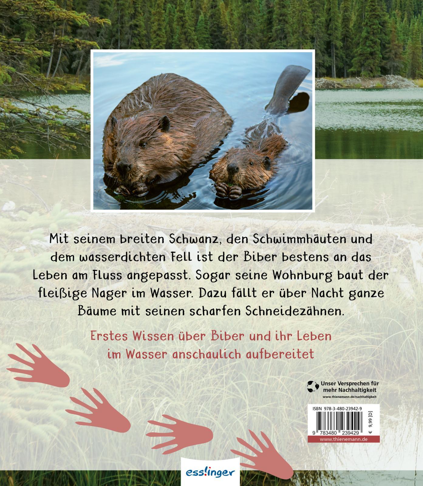 Rückseitencover Meine große Tierbibliothek: Der Biber