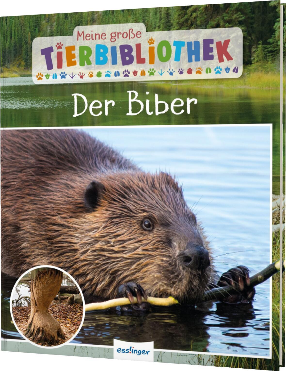 Vorderes Coverbild Meine große Tierbibliothek: Der Biber
