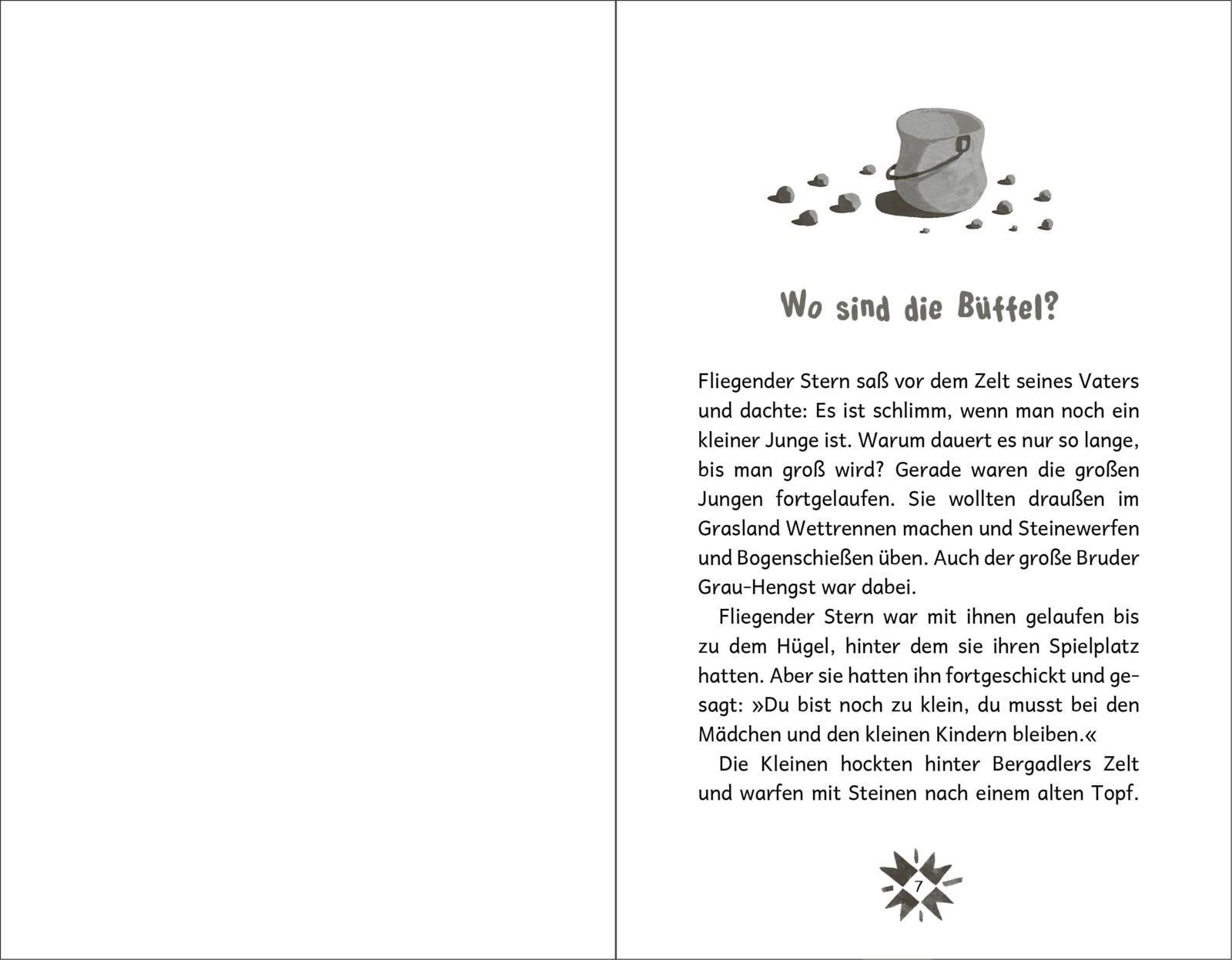 Beispielinhalt (Bild) Fliegender Stern