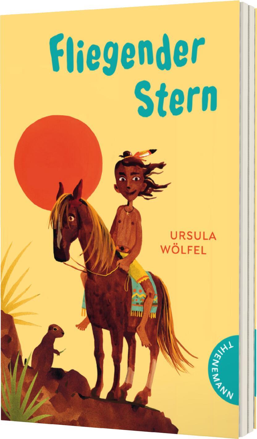 Vorderes Coverbild Fliegender Stern