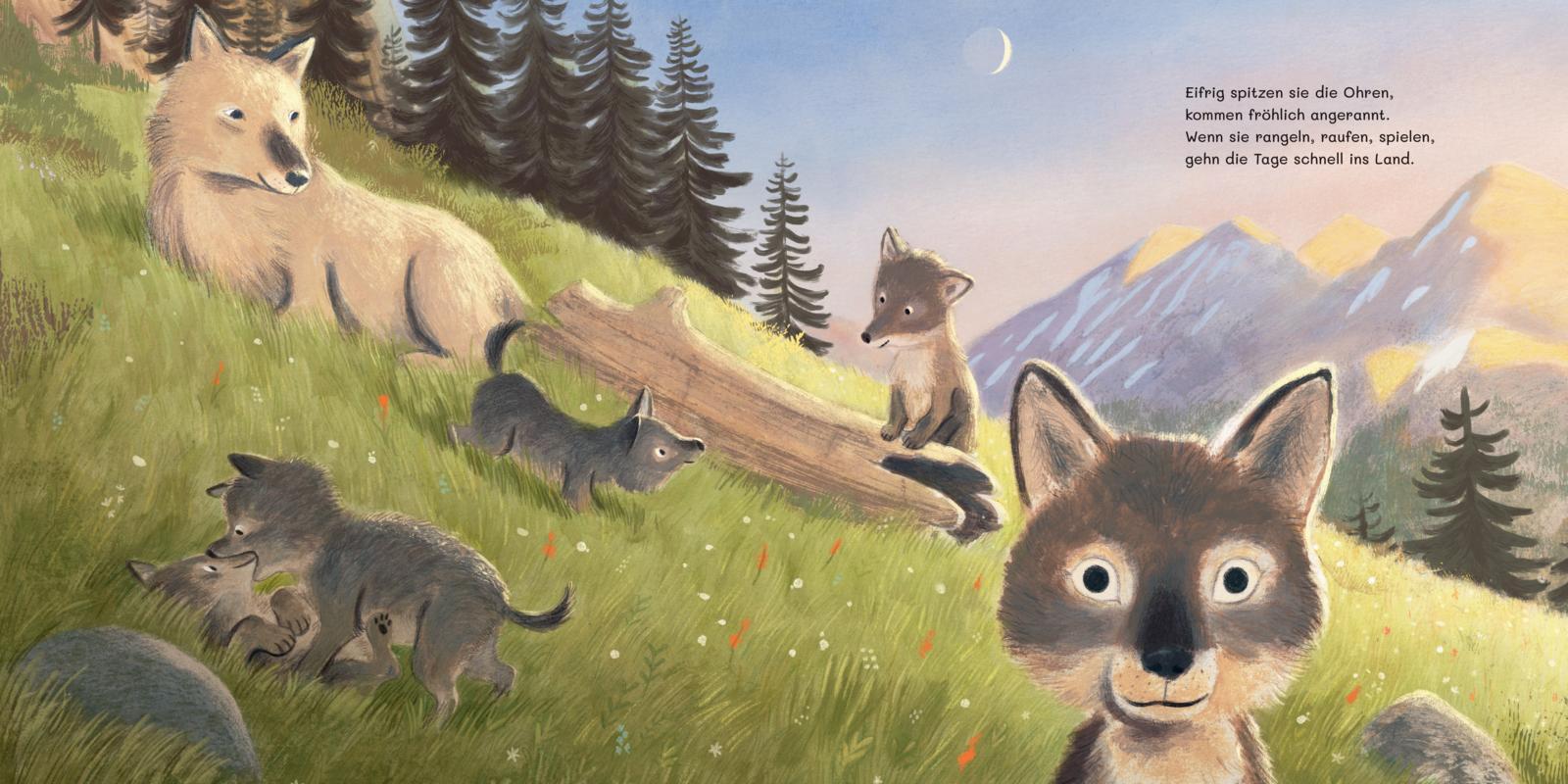 Beispielinhalt (Bild) Im Wald der Wölfchen