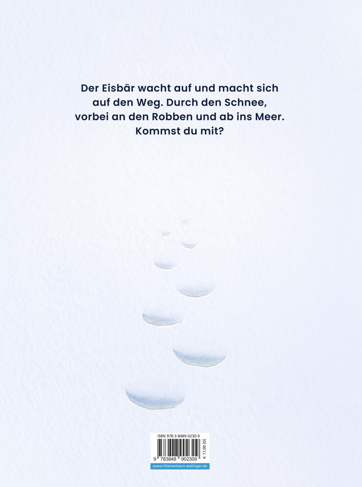 Rückseitencover Ein Eisbär im Schnee