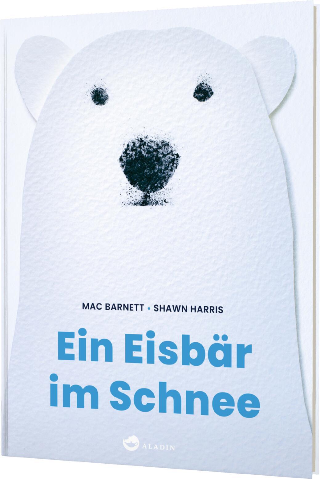 Vorderes Coverbild Ein Eisbär im Schnee