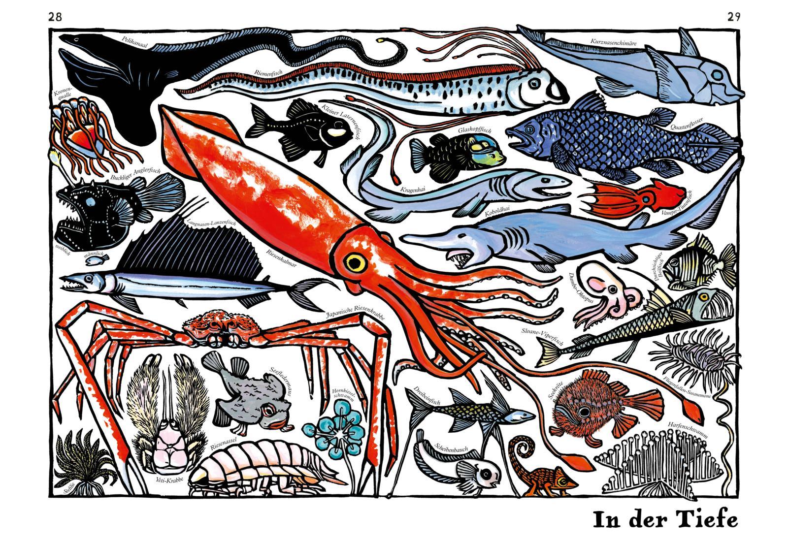 Beispielinhalt (Bild) Zoo-ologie