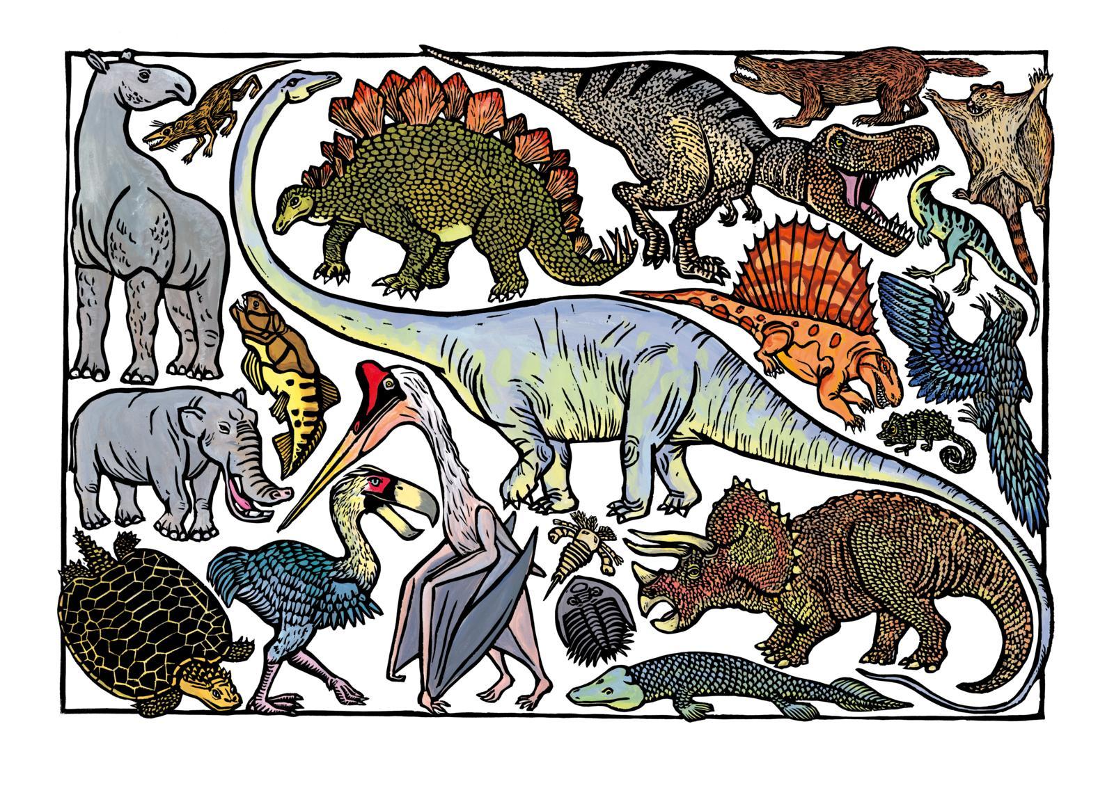 Beispielinhalt (Bild) Zoo-ologie