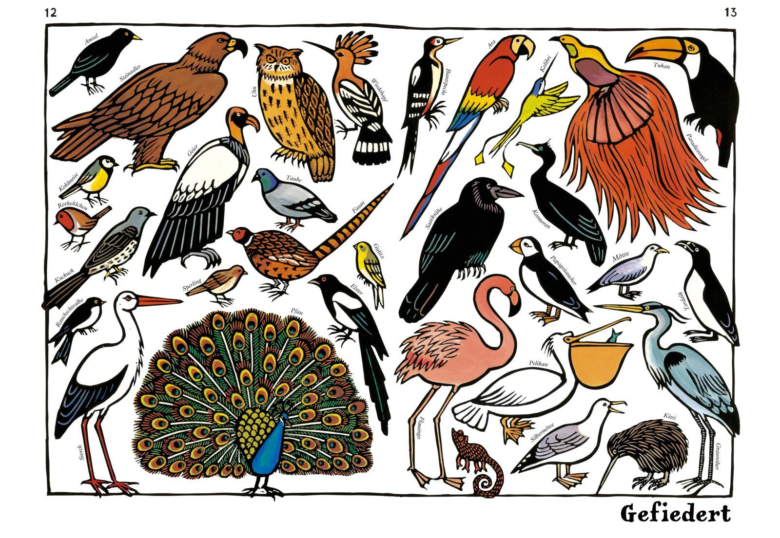 Beispielinhalt (Bild) Zoo-ologie