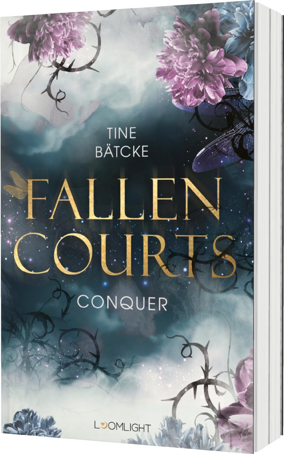 Vorderes Coverbild Fallen Courts 1: Conquer
