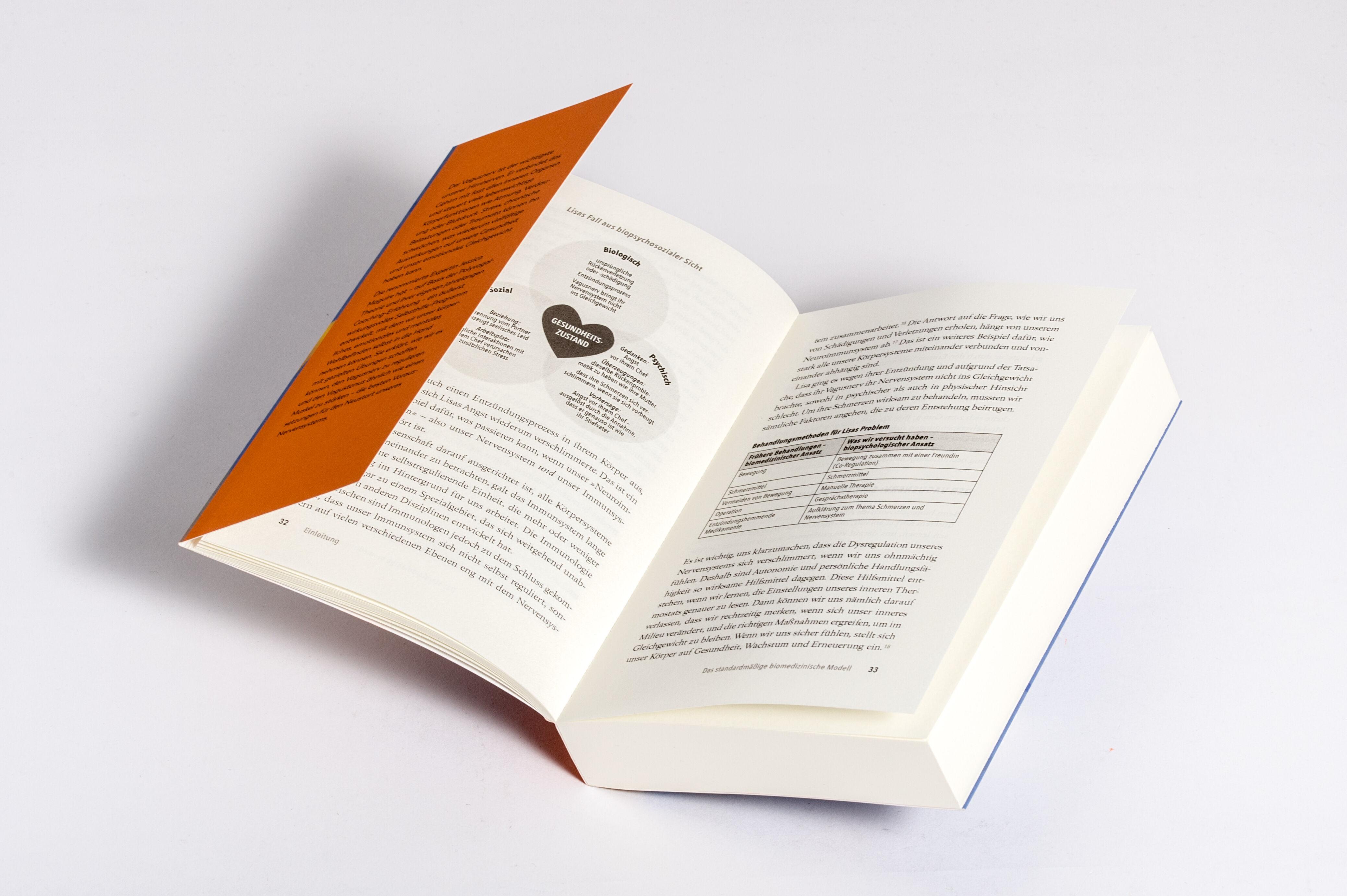 Beispielinhalt (Bild) Das Vagusnerv-Reset-Programm