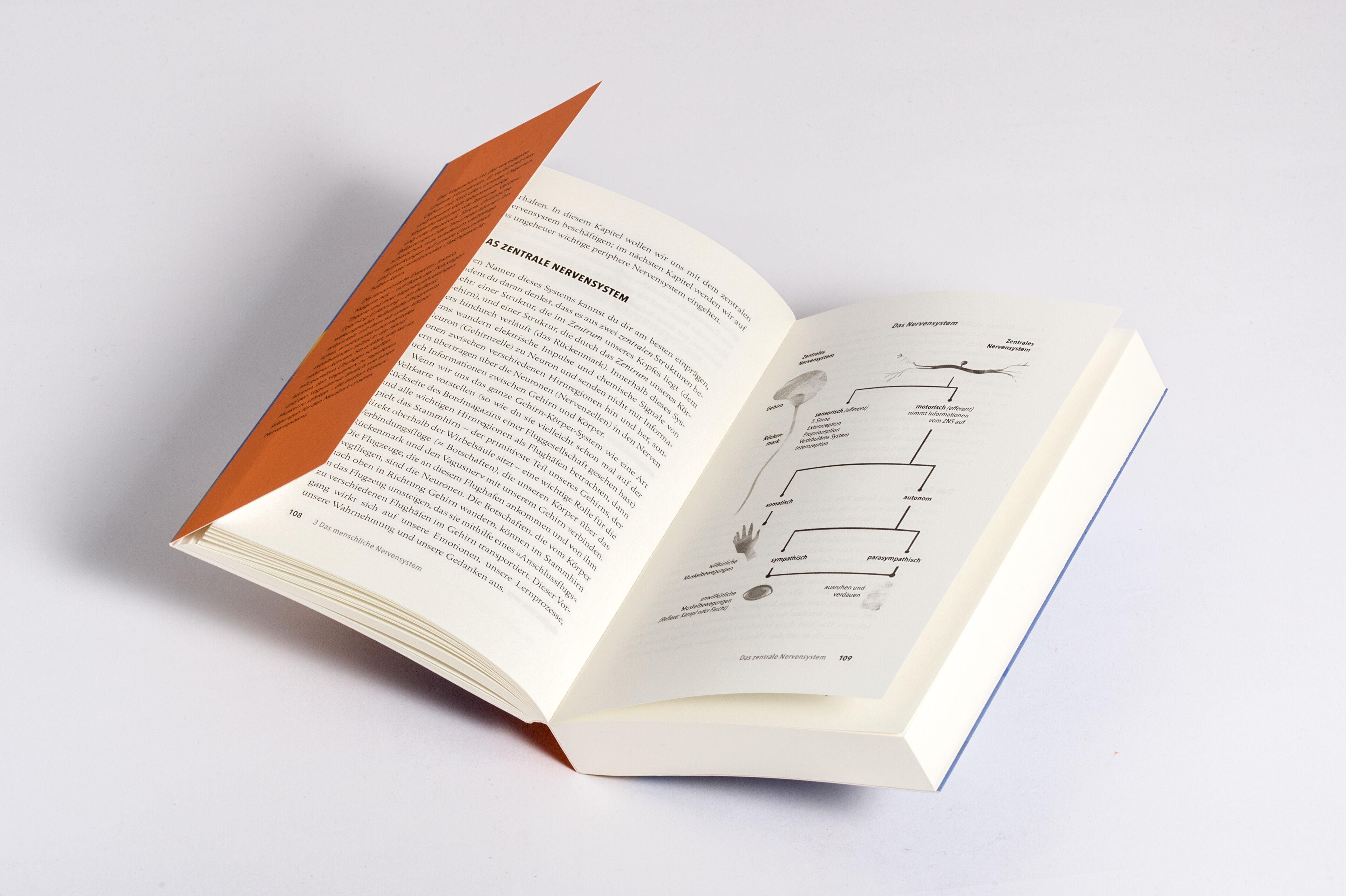 Beispielinhalt (Bild) Das Vagusnerv-Reset-Programm