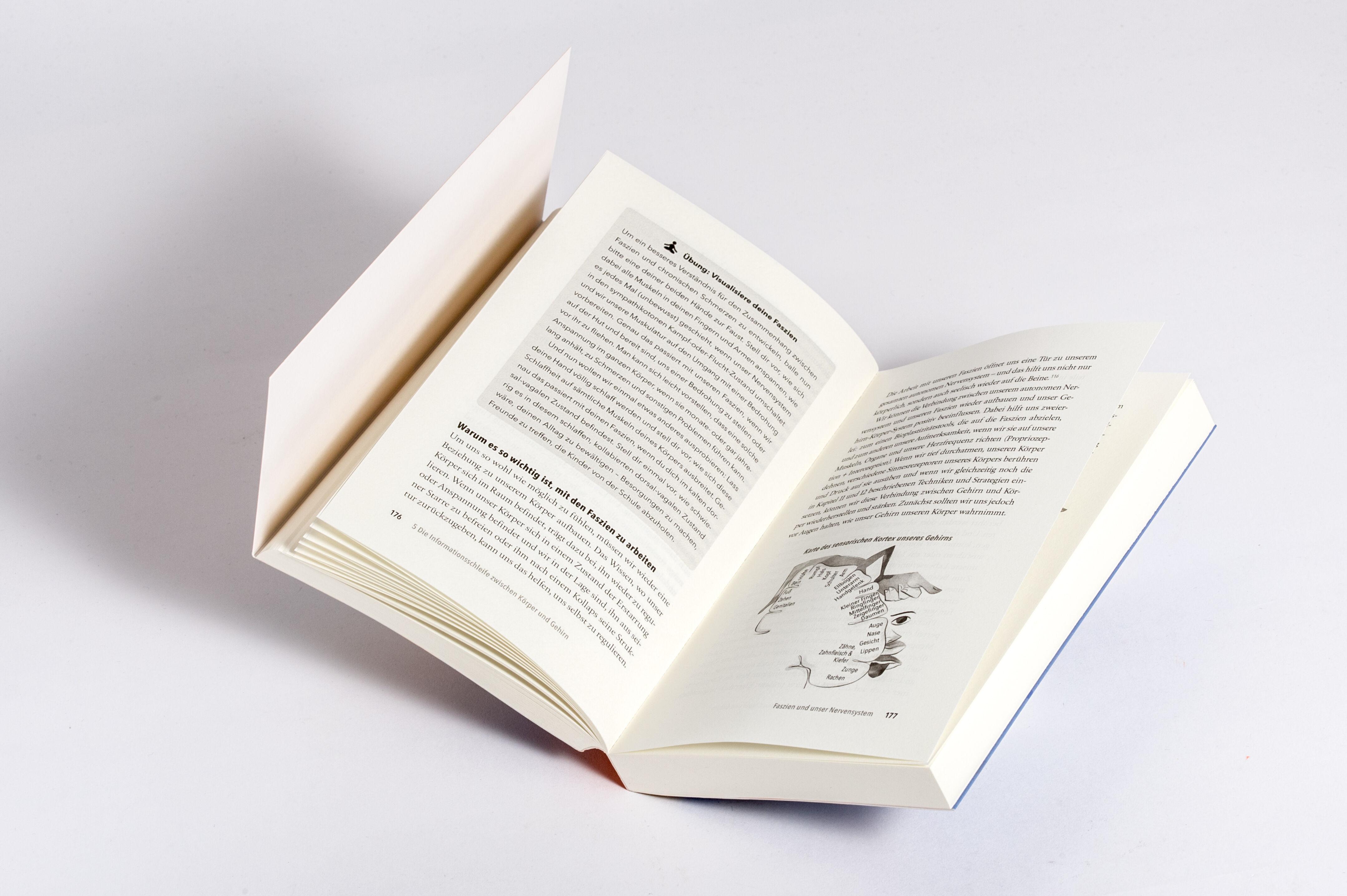 Beispielinhalt (Bild) Das Vagusnerv-Reset-Programm