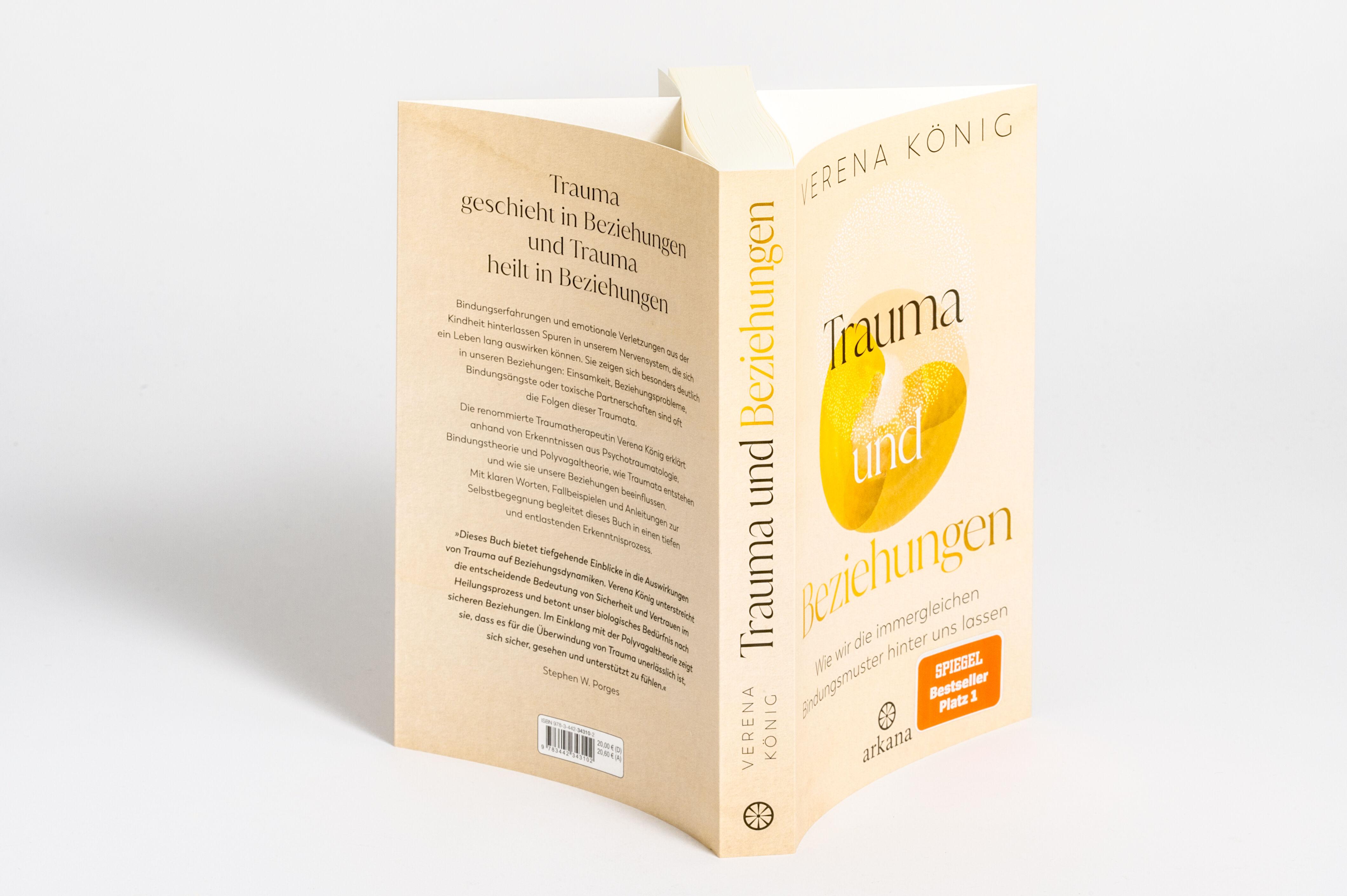 Beispielinhalt (Bild) Trauma und Beziehungen