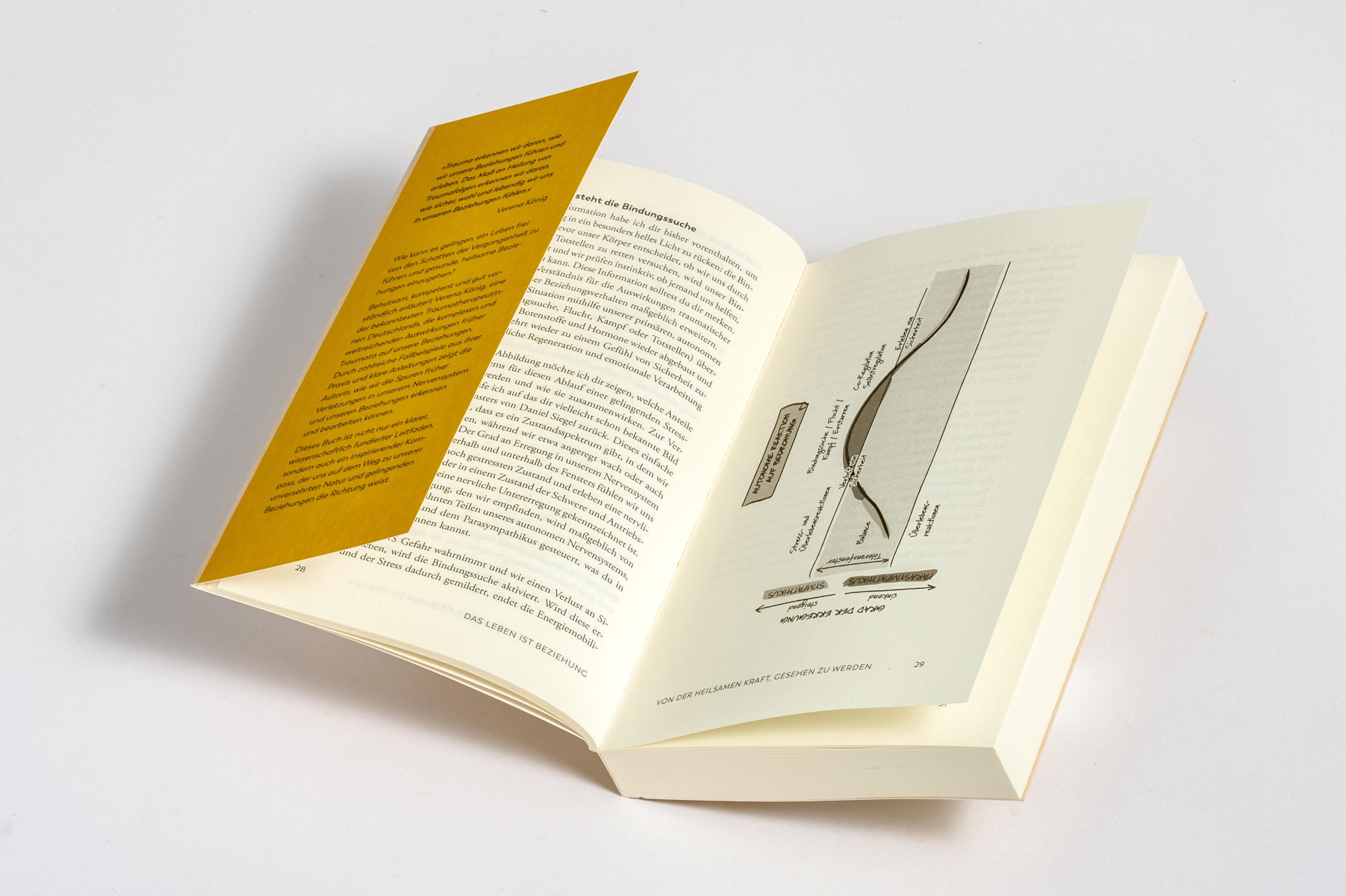 Beispielinhalt (Bild) Trauma und Beziehungen