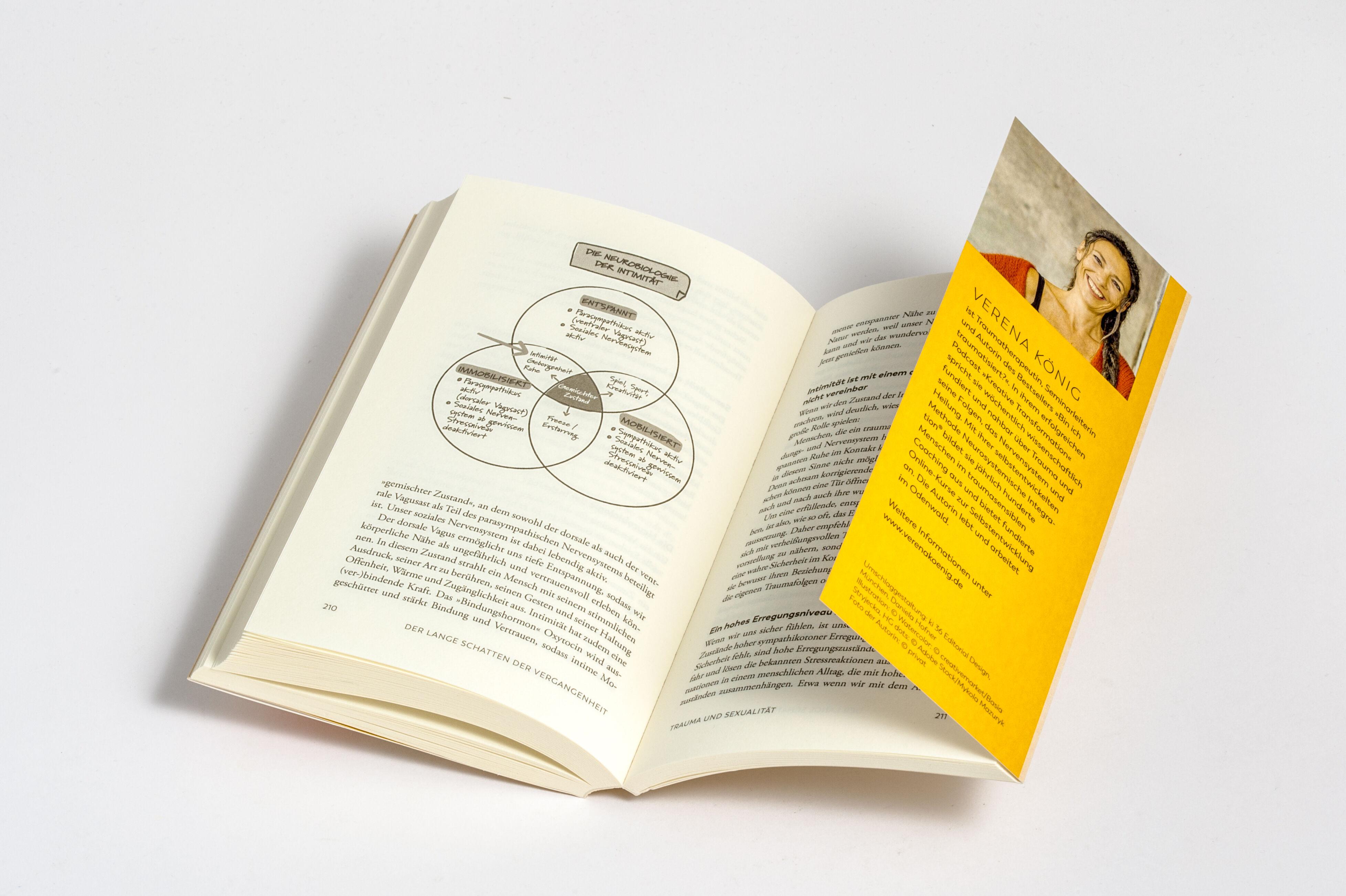 Beispielinhalt (Bild) Trauma und Beziehungen