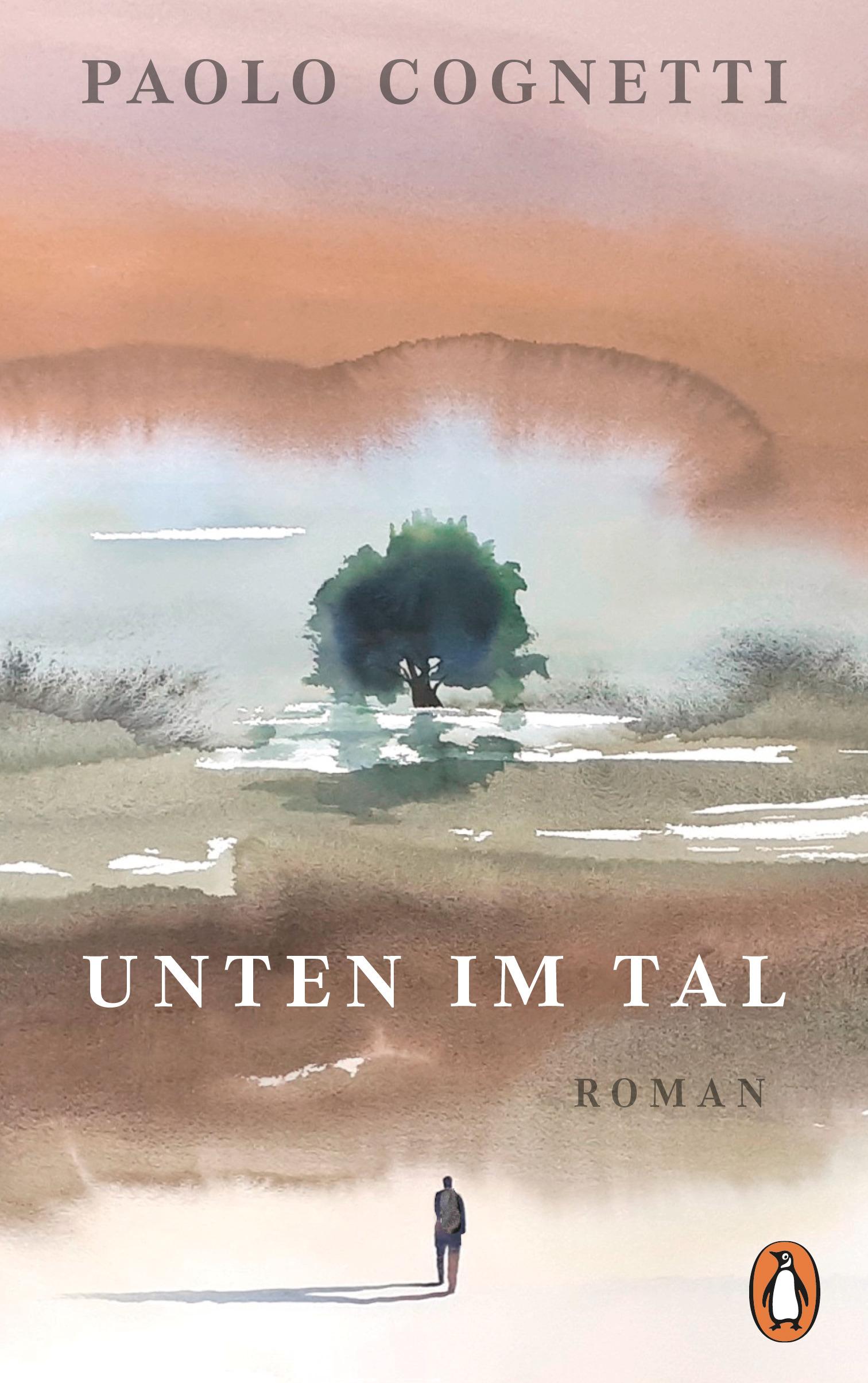 Vorderes Coverbild Unten im Tal