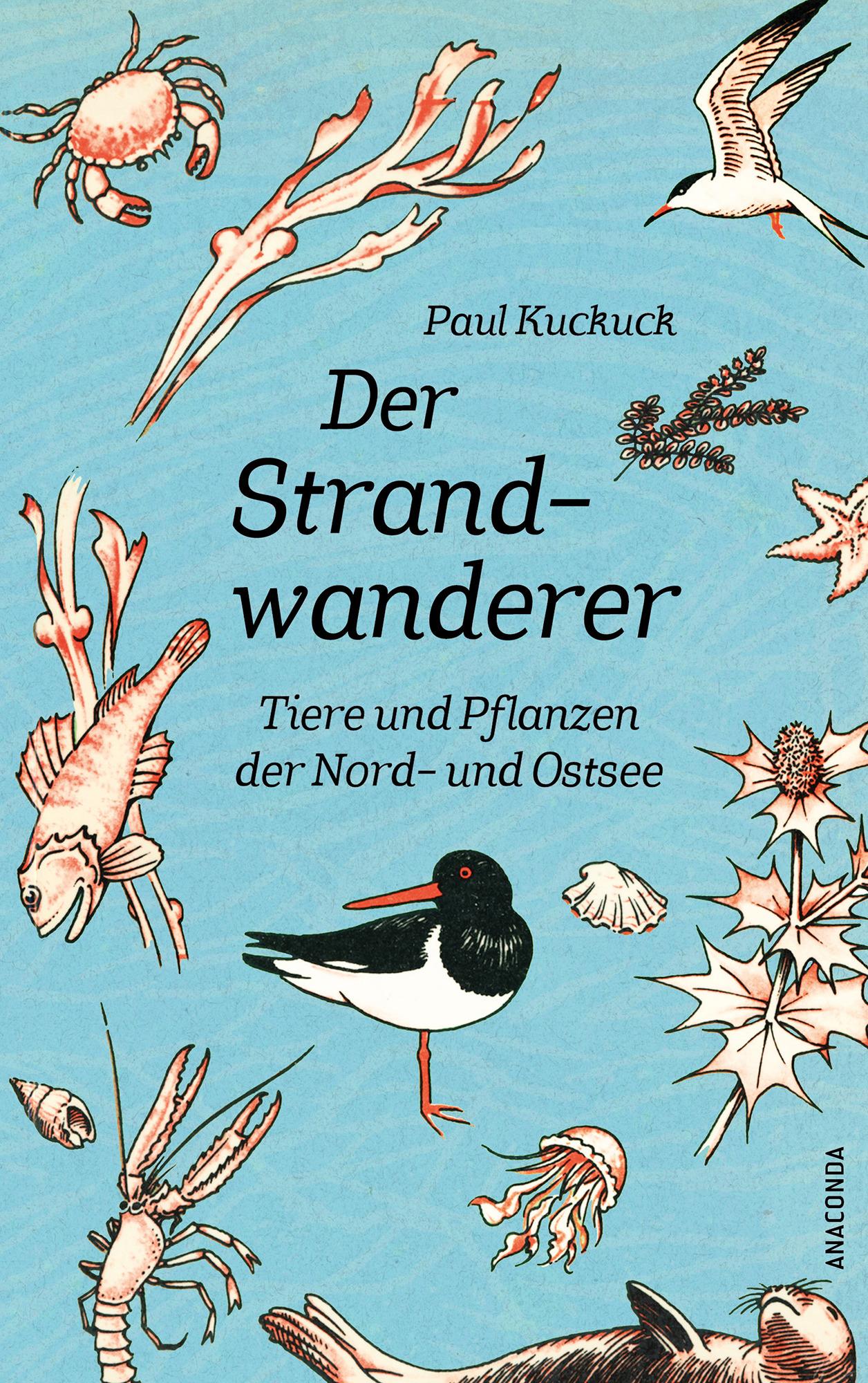 Vorderes Coverbild Der Strandwanderer. Tiere und Pflanzen der Nord- und Ostsee