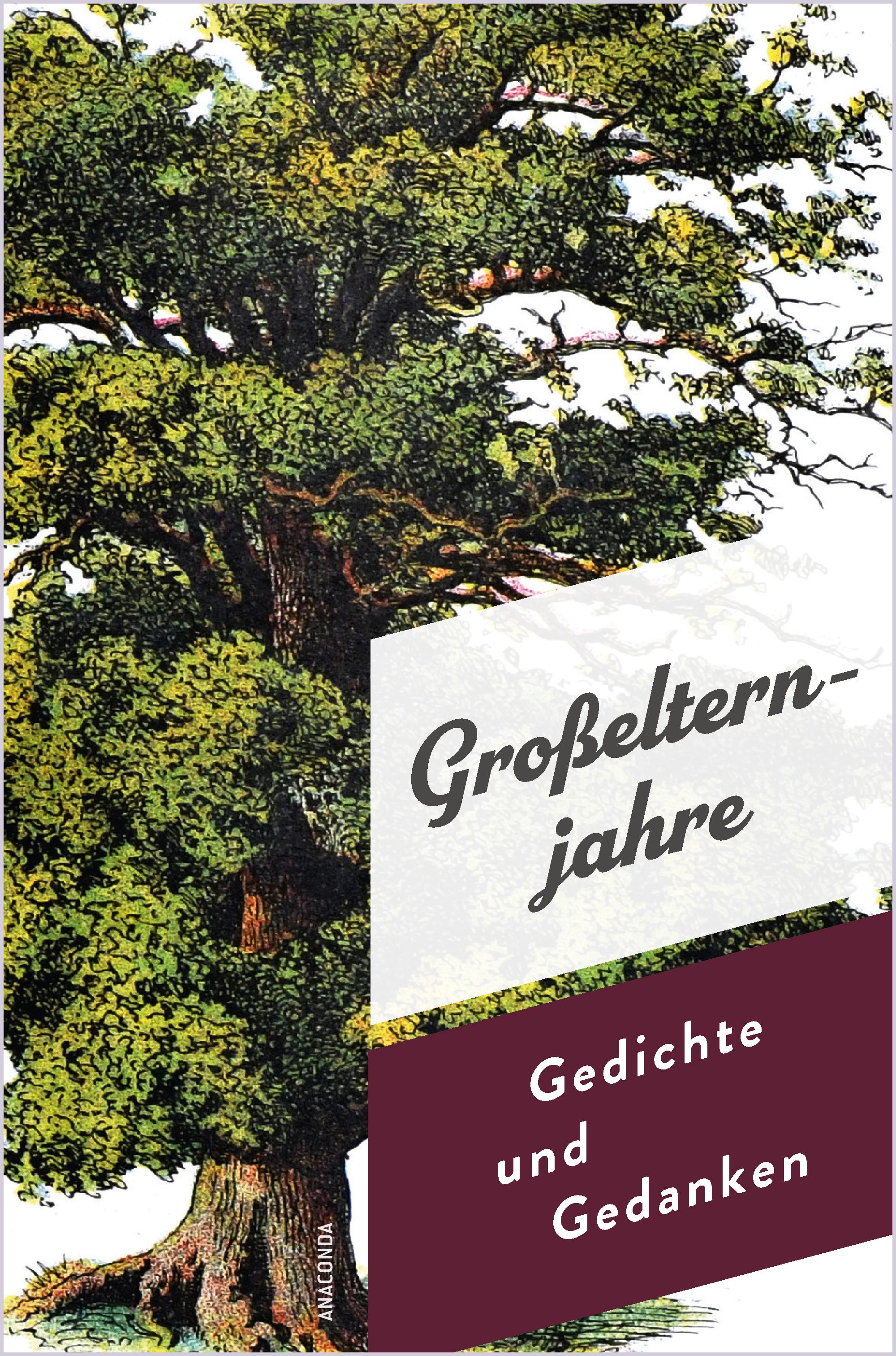 Vorderes Coverbild Großelternjahre. Gedichte und Gedanken