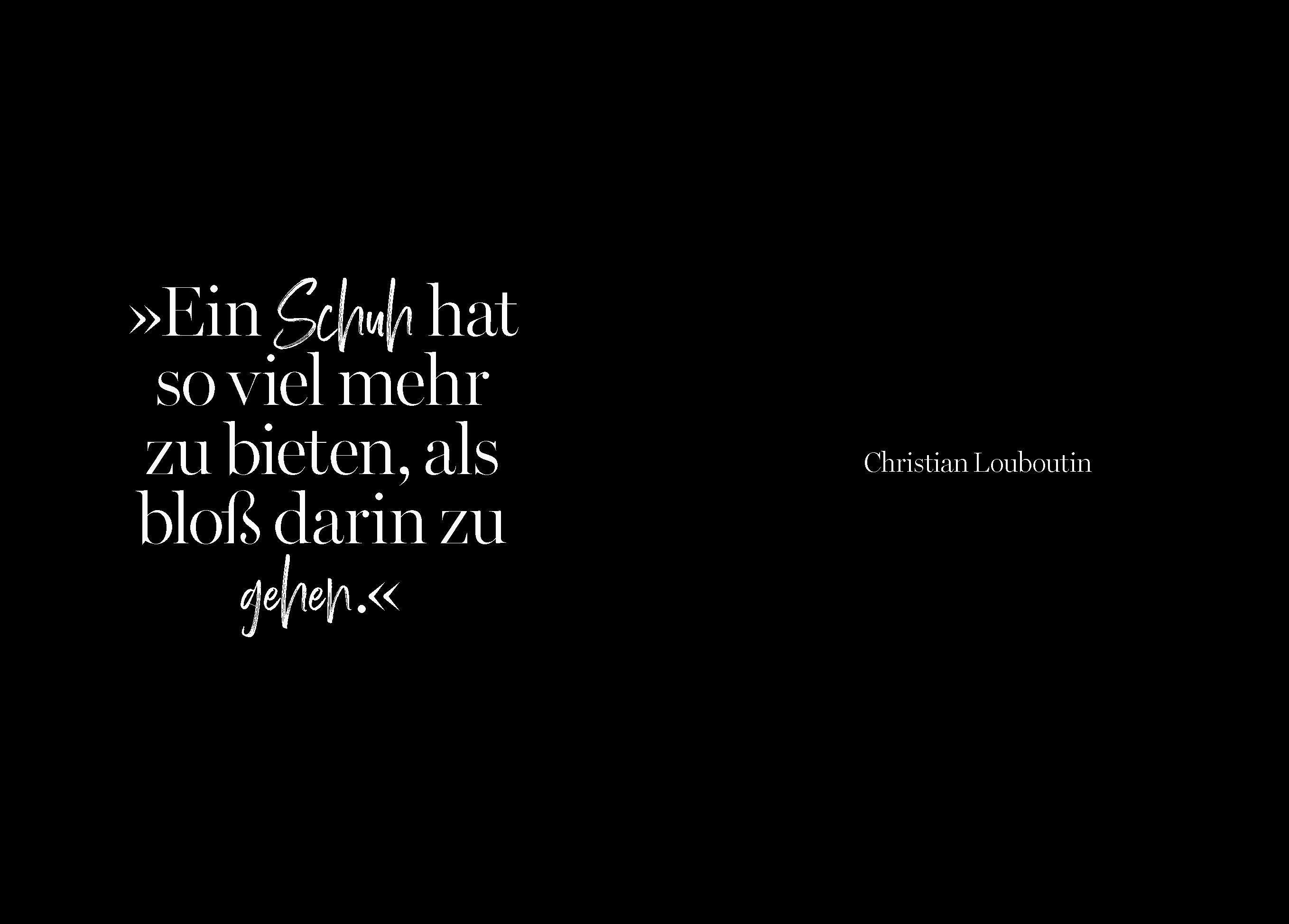 Beispielinhalt (Bild) Der Schuh - Eine illustrierte Hommage an einen Modeklassiker