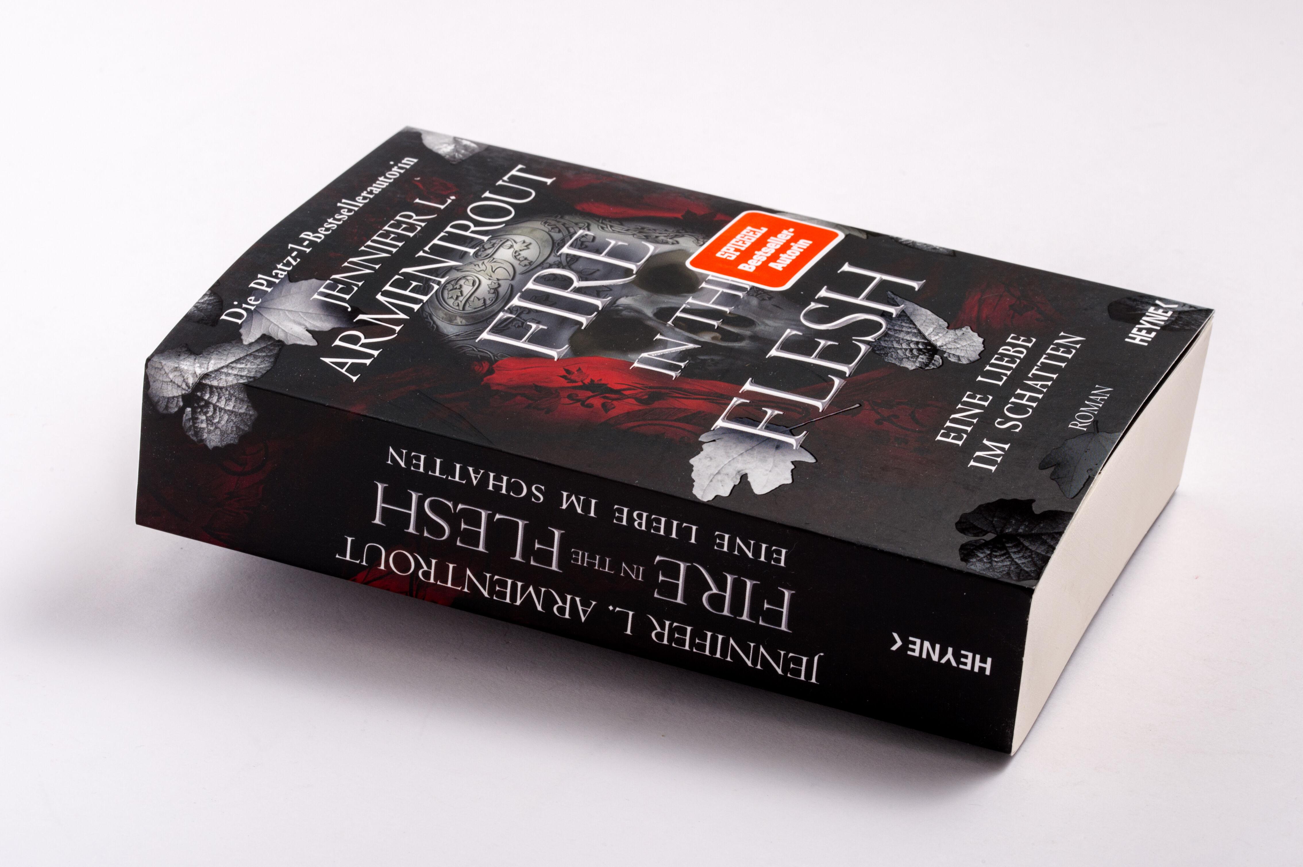 Beispielinhalt (Bild) Fire in the Flesh - Eine Liebe im Schatten