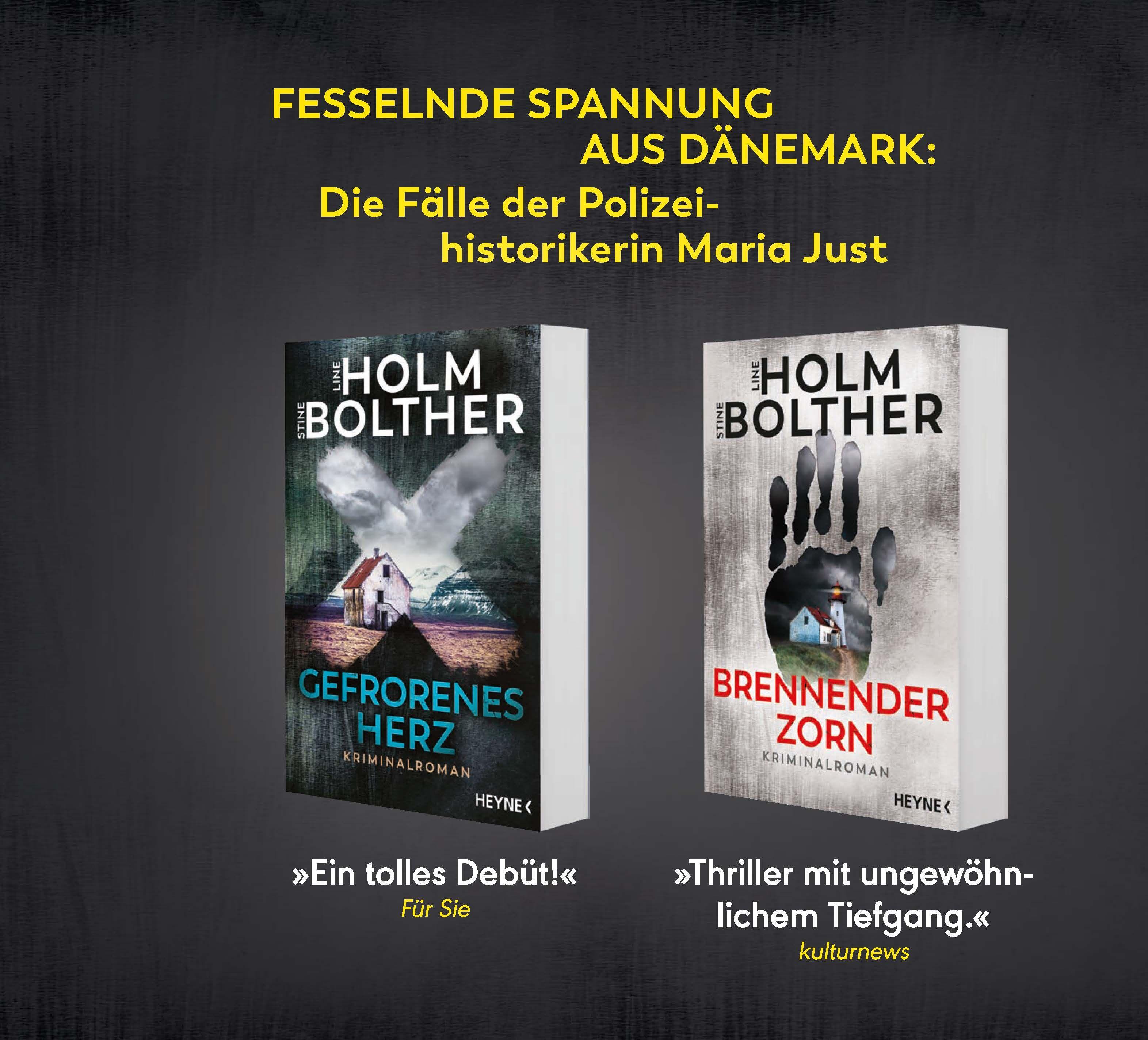 Beispielinhalt (Bild) Eiskalte Schuld