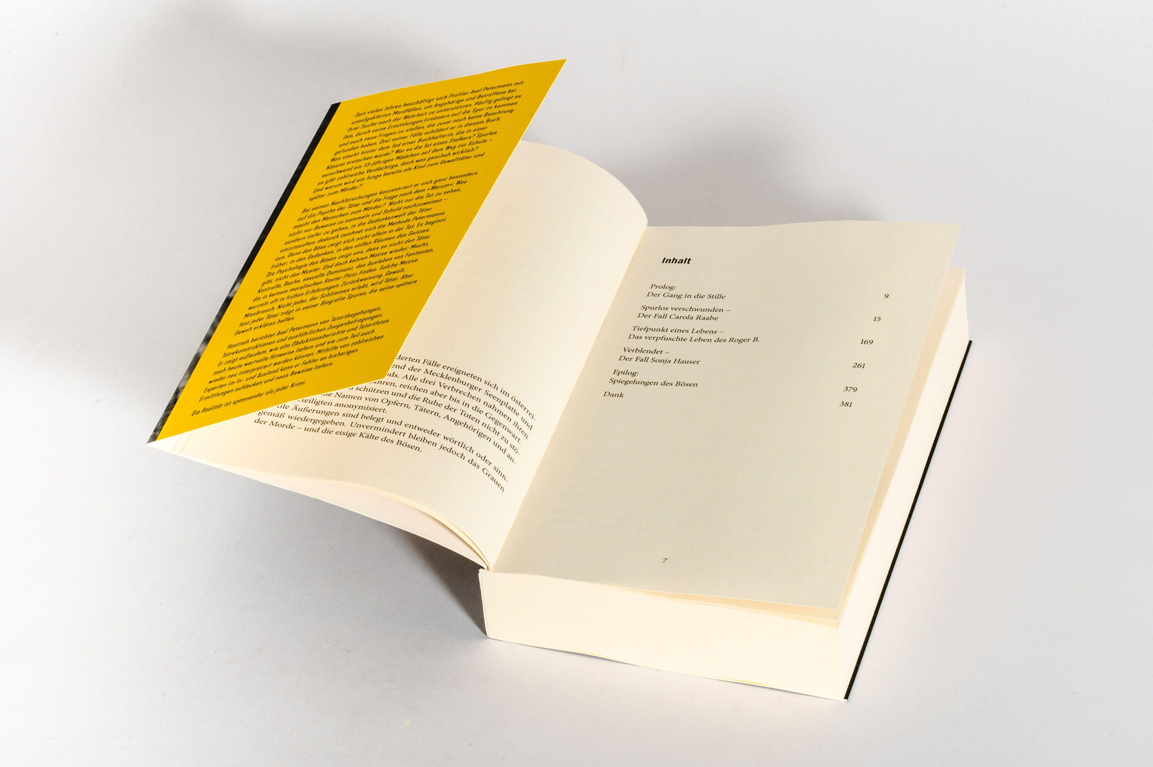 Beispielinhalt (Bild) Die Psyche des Bösen