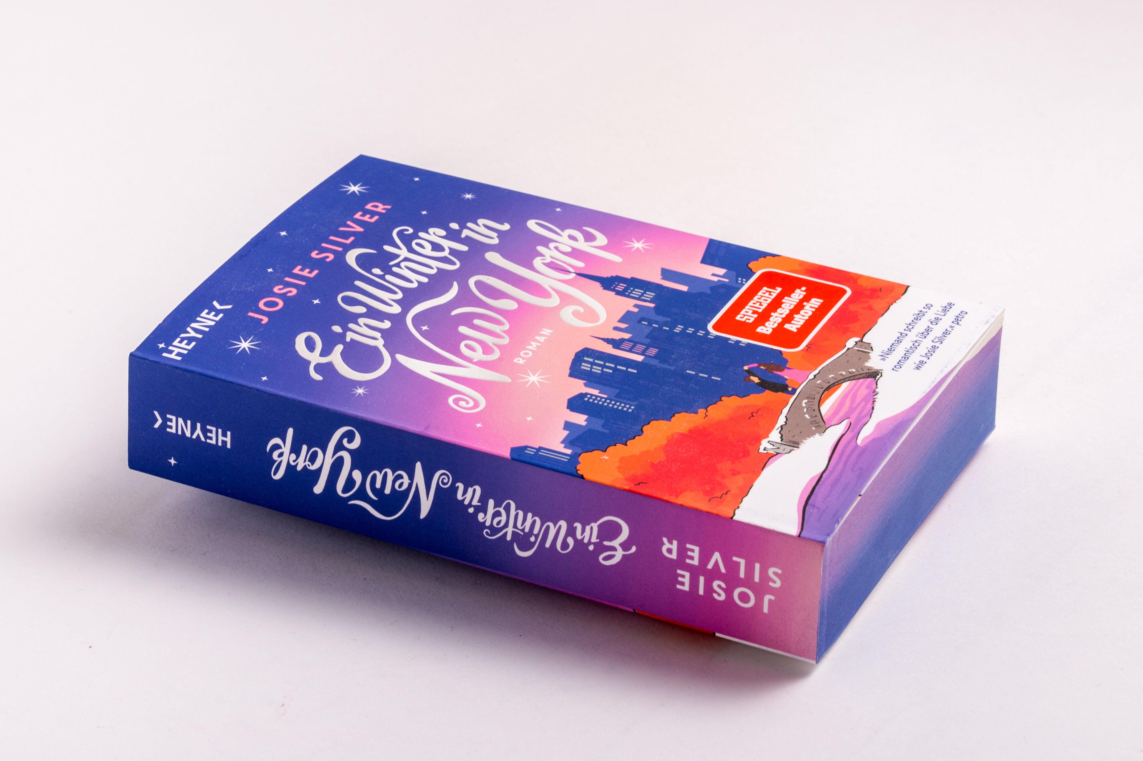 Beispielinhalt (Bild) Ein Winter in New York