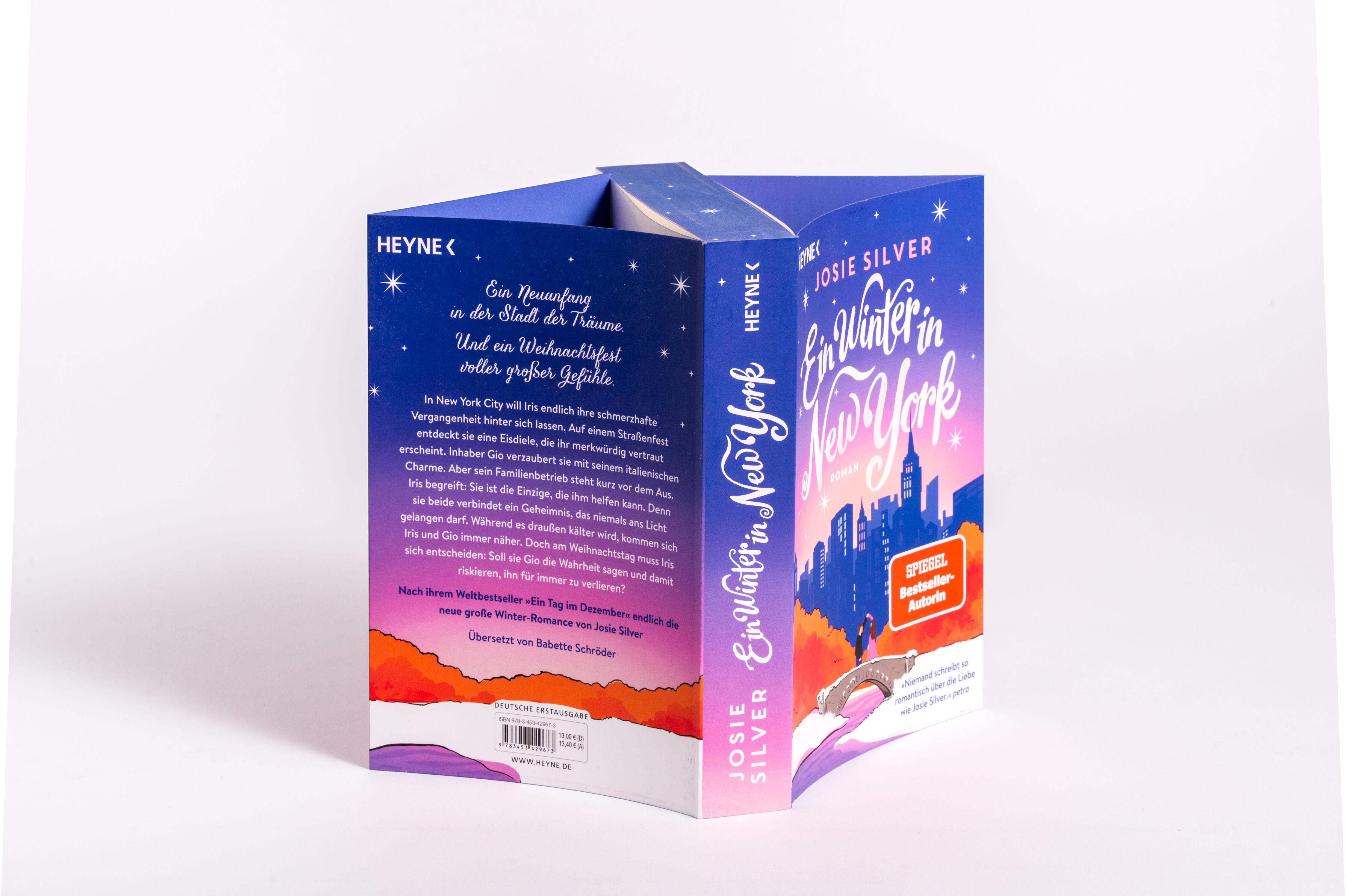 Beispielinhalt (Bild) Ein Winter in New York